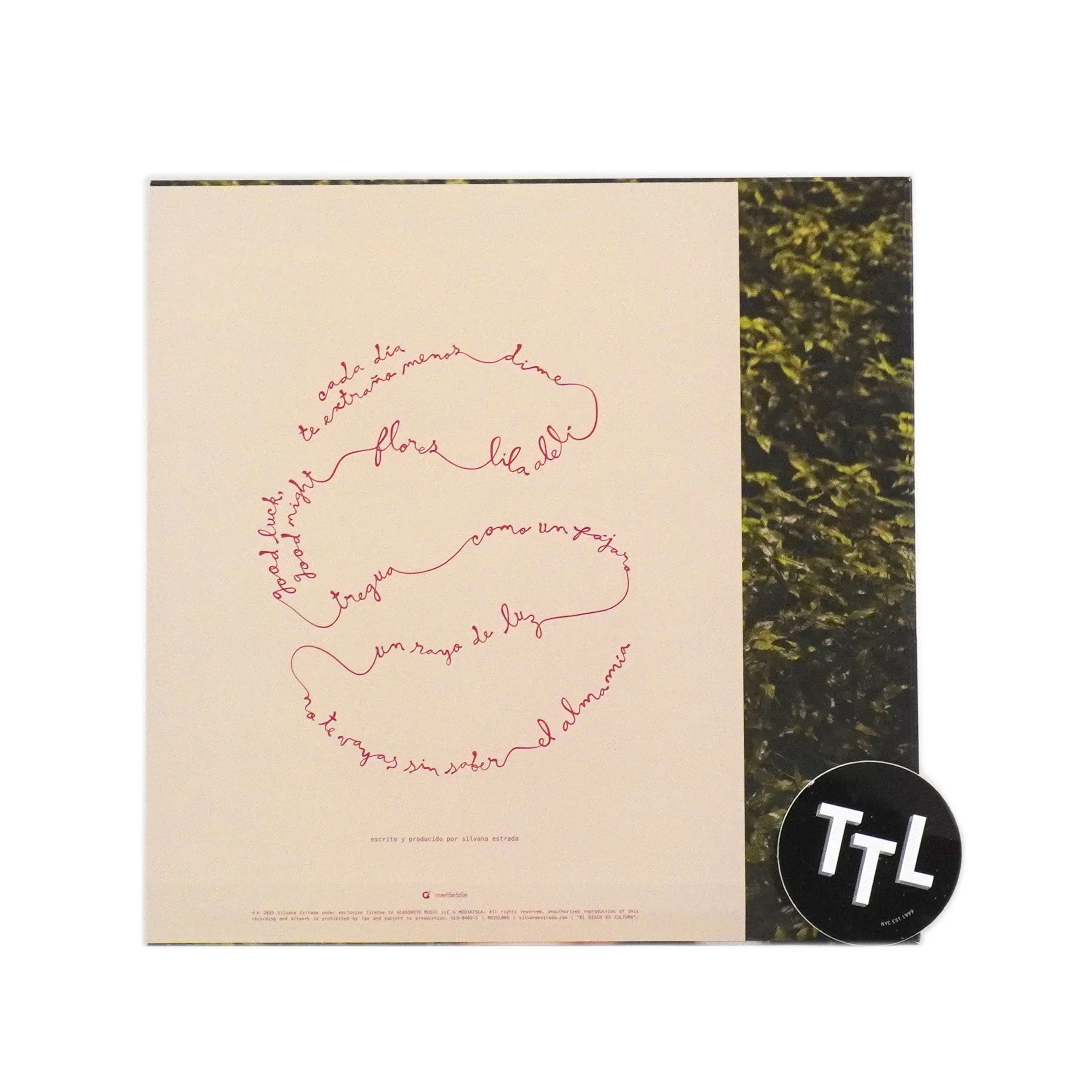 Silvana Estrada: Vendran Suaves Lluvias Vinyl LP - Image 3