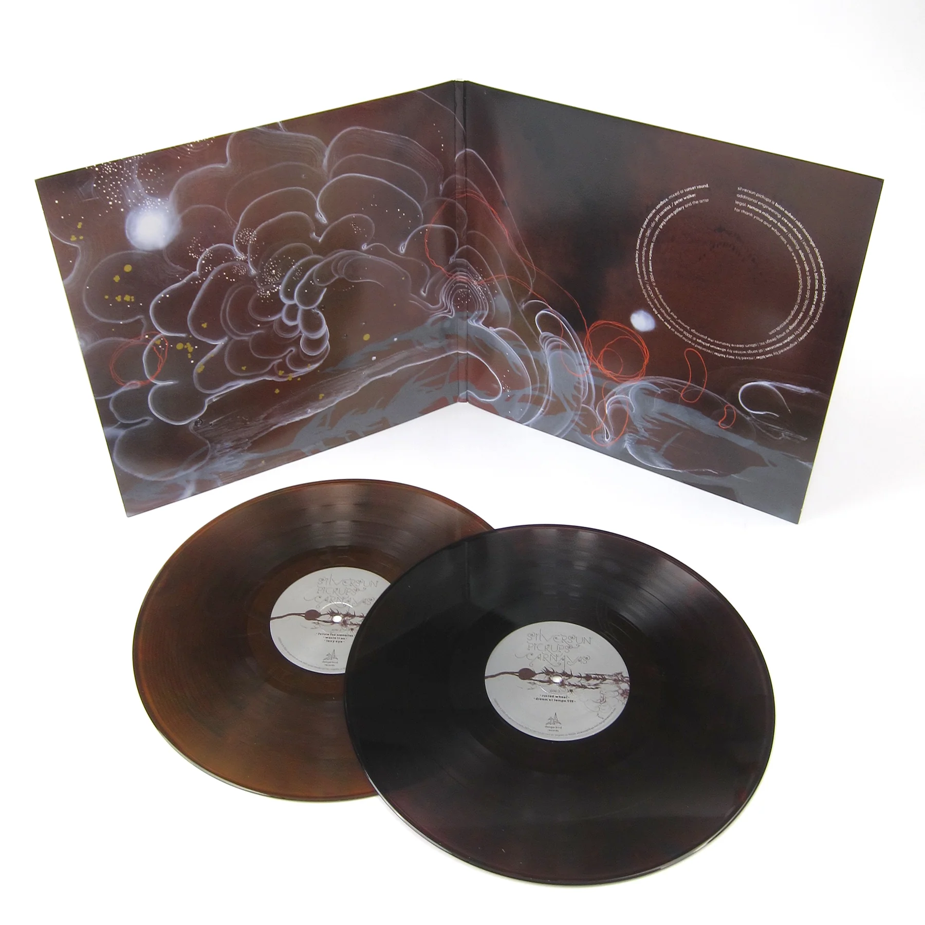 Silversun Pickups: Carnavas (Colored Vinyl) Vinyl 2LP - Image 2