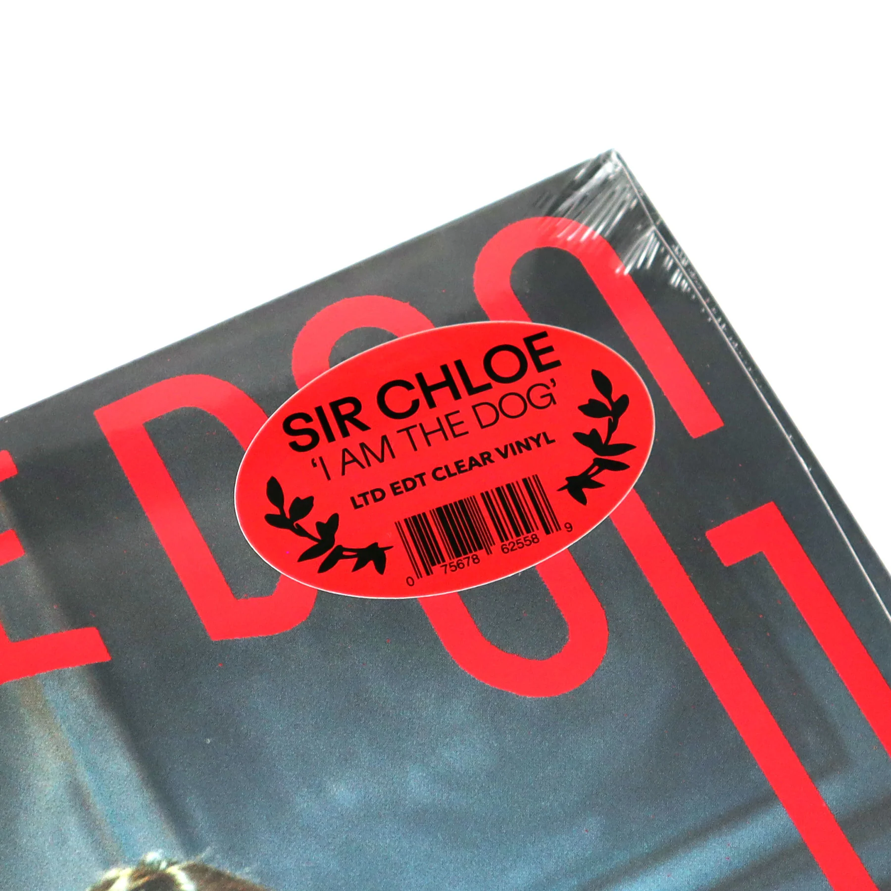 Sir Chloe: I Am The Dog (Indie Exclusive Colored Vinyl) Vinyl LP - Image 4