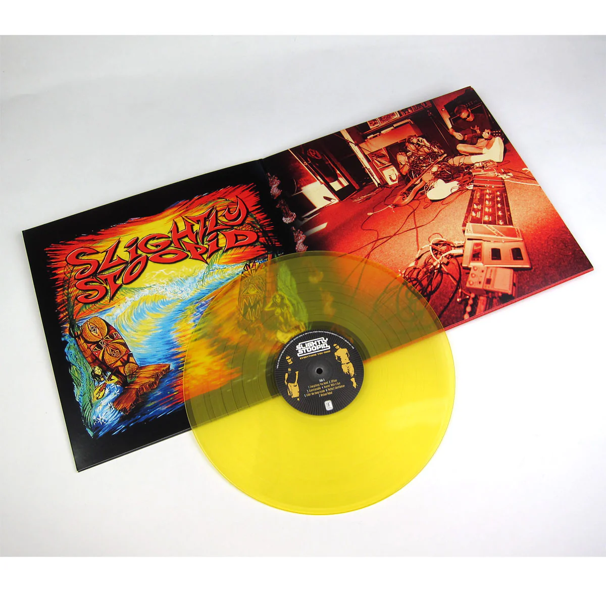 Slightly Stoopid: Everything You Need (Colored Vinyl) Vinyl LP - Image 2