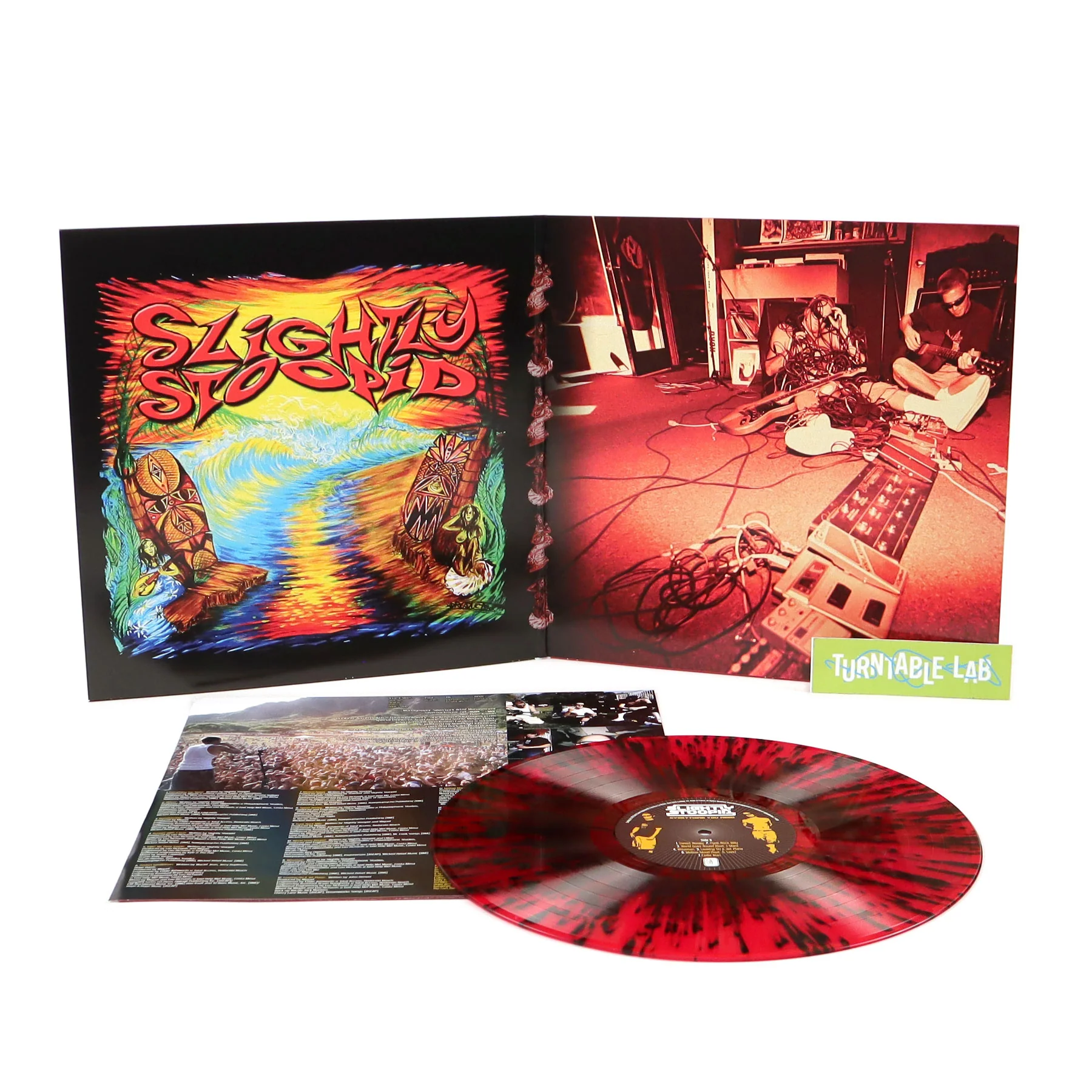 Slightly Stoopid: Everything You Need (Colored Vinyl) Vinyl LP - Image 2