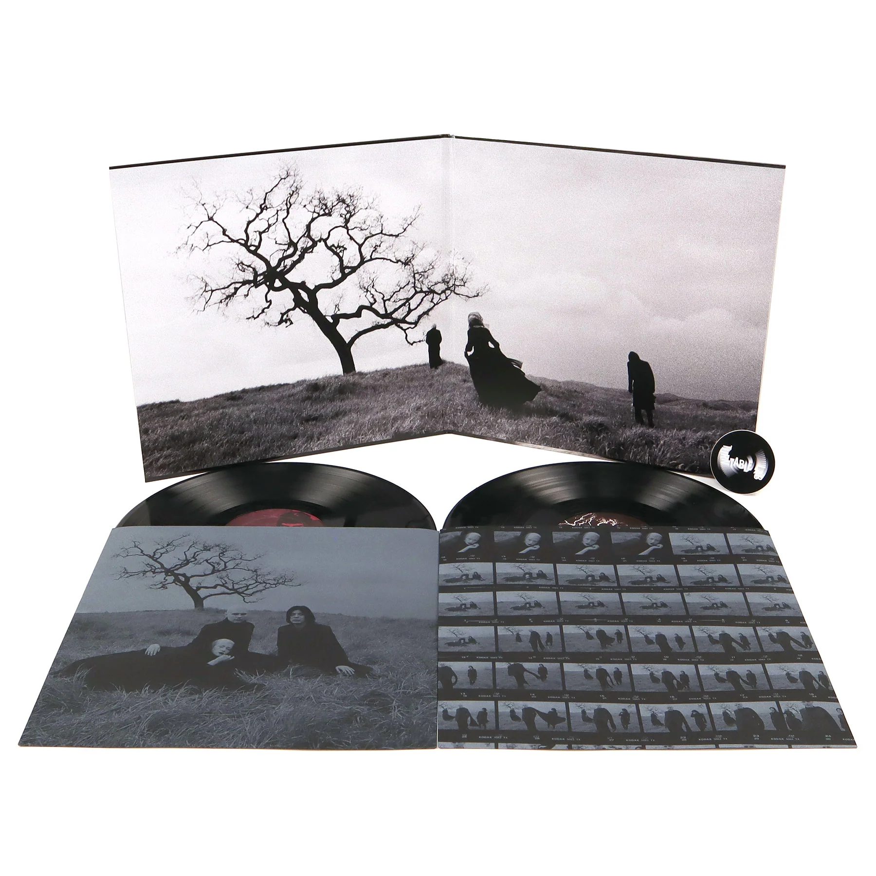 Smashing Pumpkins: Adore - Deluxe Edition (180g) Vinyl 2LP - Image 2