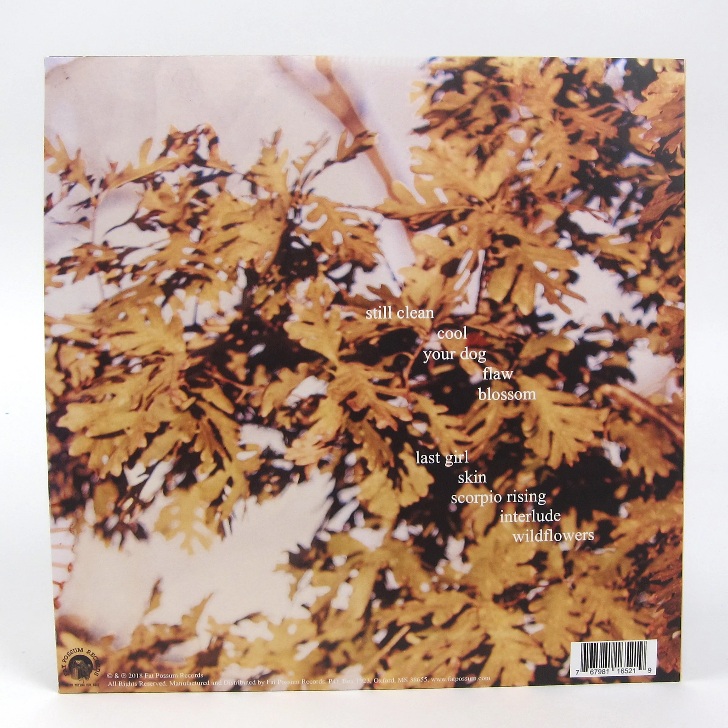 Soccer Mommy: Clean (Indie Exclusive Colored Vinyl) Vinyl LP - Image 3