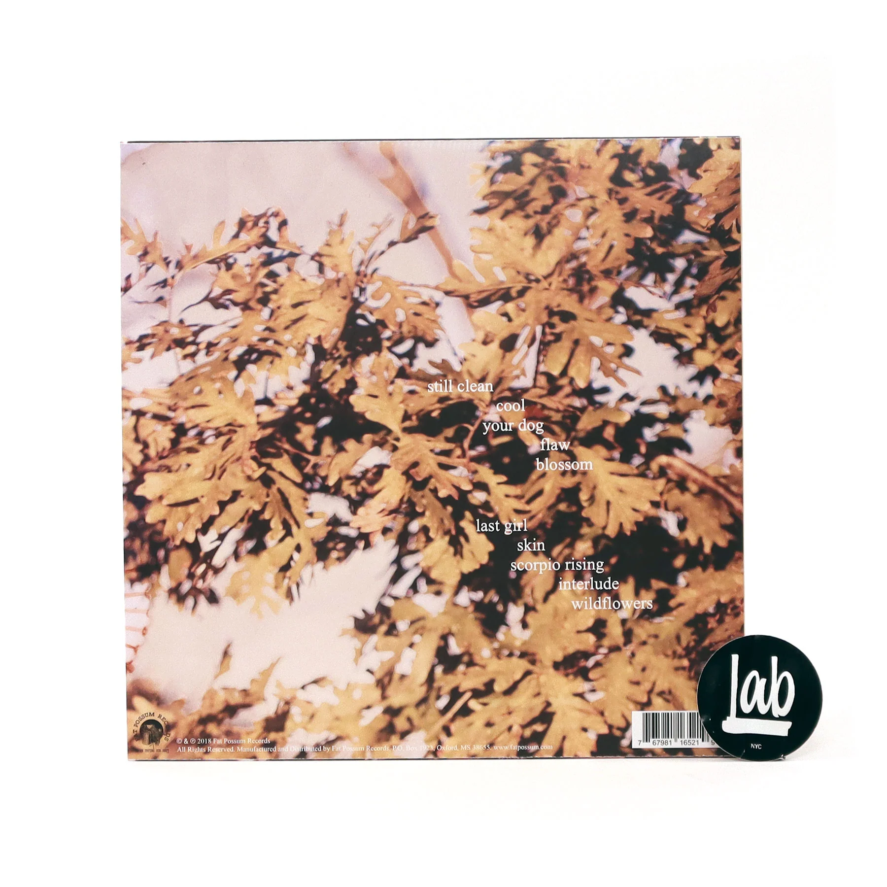 Soccer Mommy: Clean Vinyl LP - Image 3
