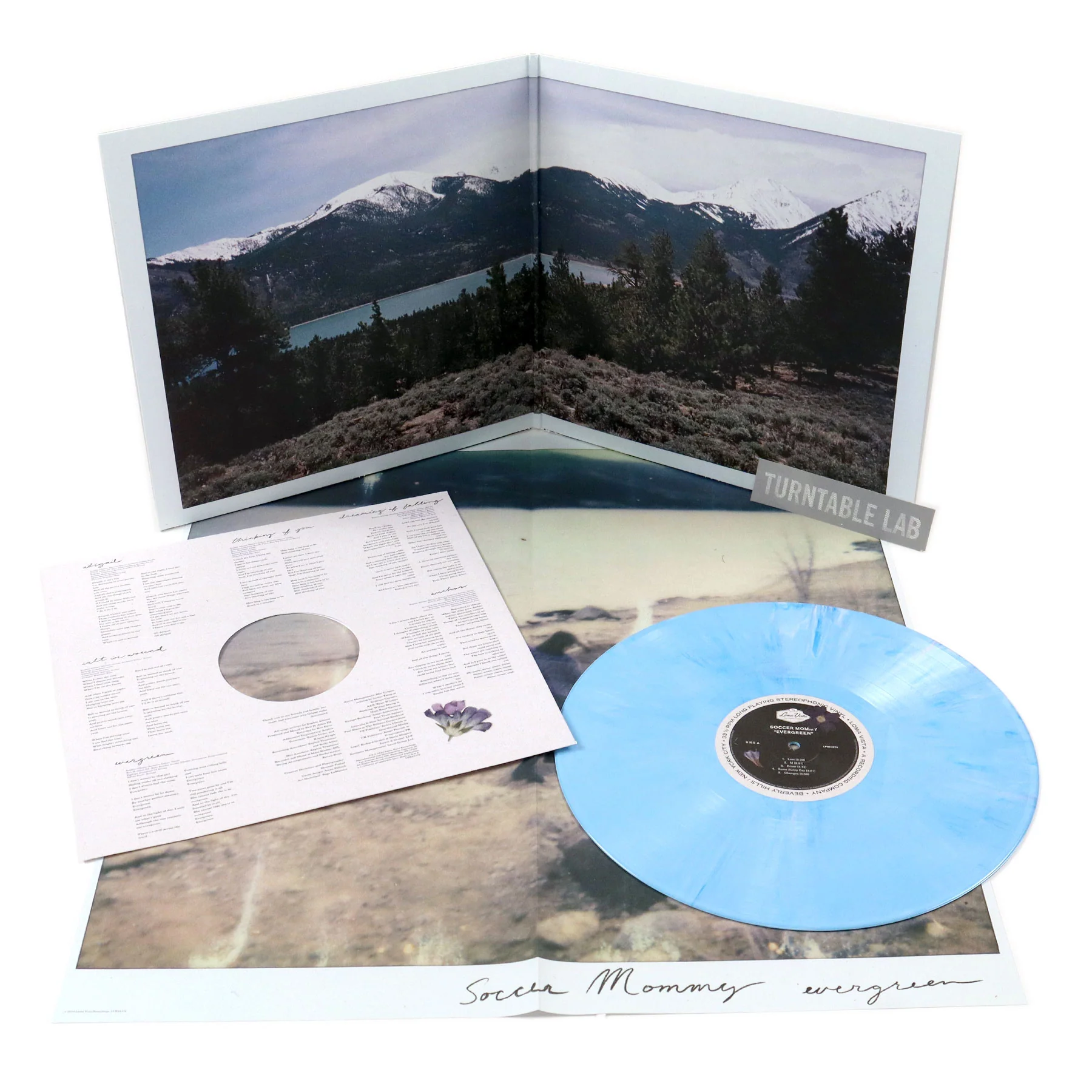Soccer Mommy: Evergreen (Indie Exclusive Colored Vinyl) Vinyl LP - Image 2