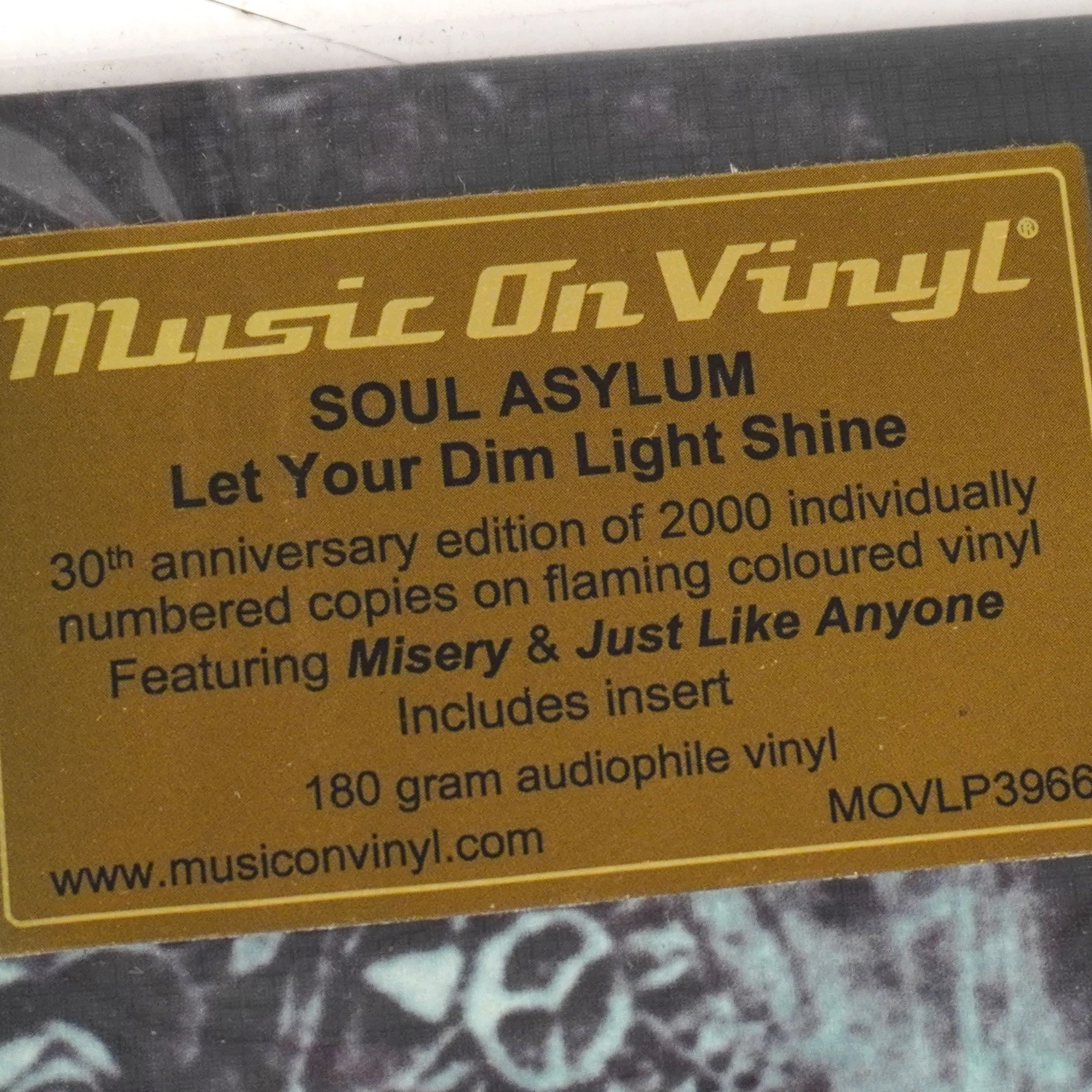 Soul Asylum: Let Your Dim Light Shine (180g, Flaming Colored Vinyl) Vinyl 2LP - Image 4