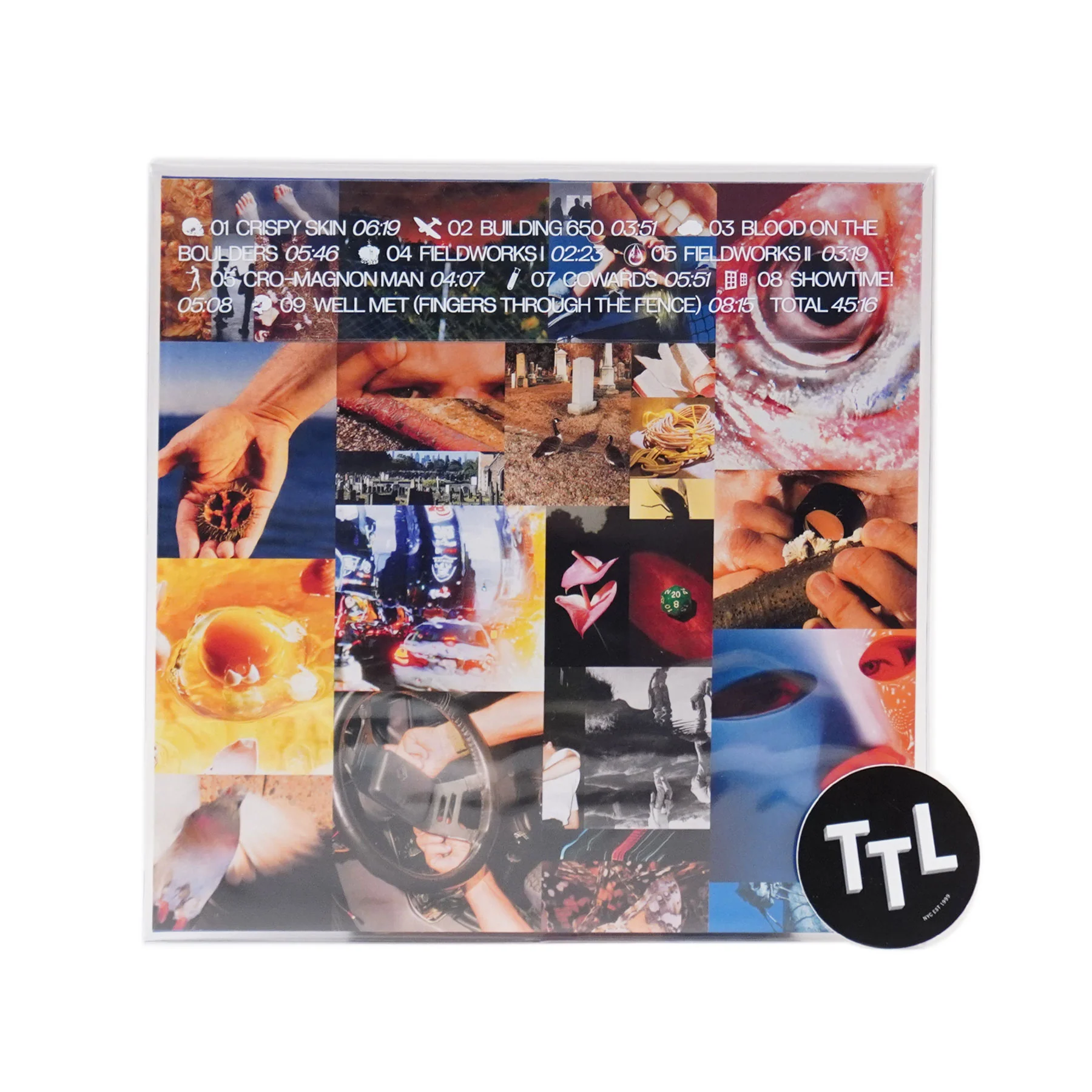 Squid: Cowards (Colored Vinyl) Vinyl LP - Image 3
