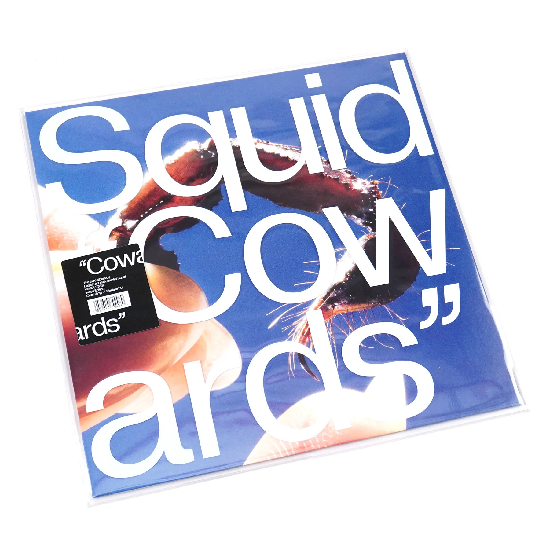 Squid: Cowards (Colored Vinyl) Vinyl LP - Image 4