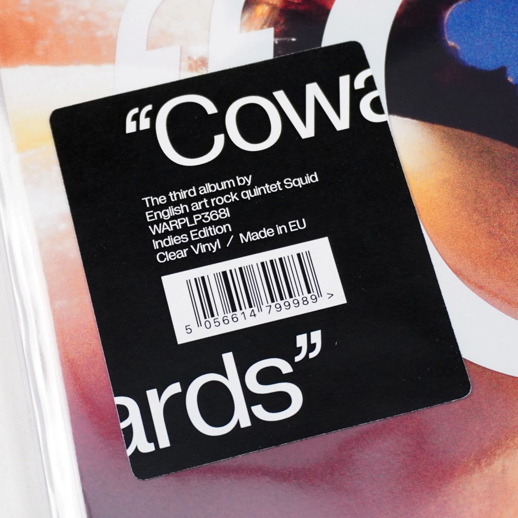 Squid: Cowards (Colored Vinyl) Vinyl LP - Image 5