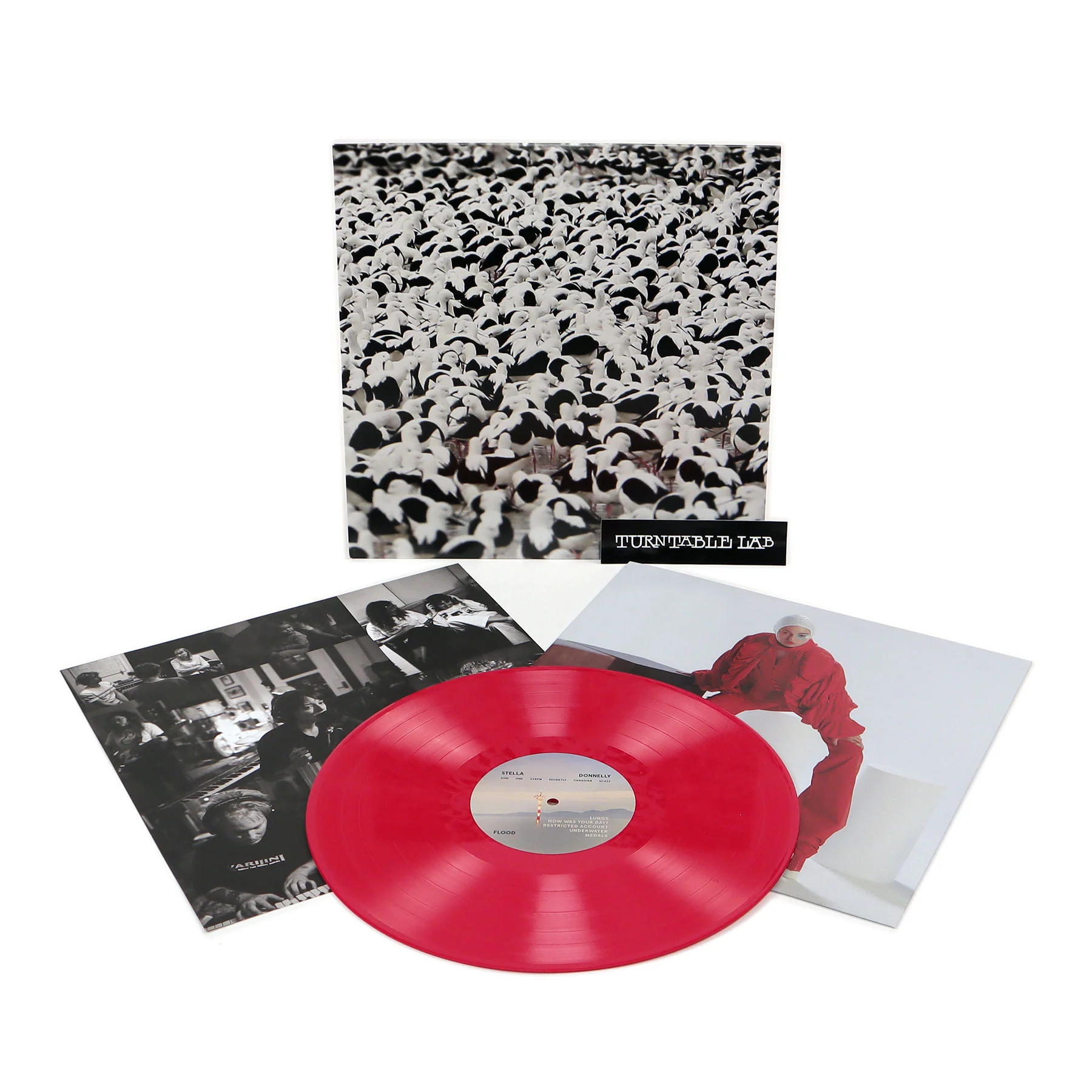Stella Donnelly: Flood (Colored Vinyl) Vinyl LP - Image 2