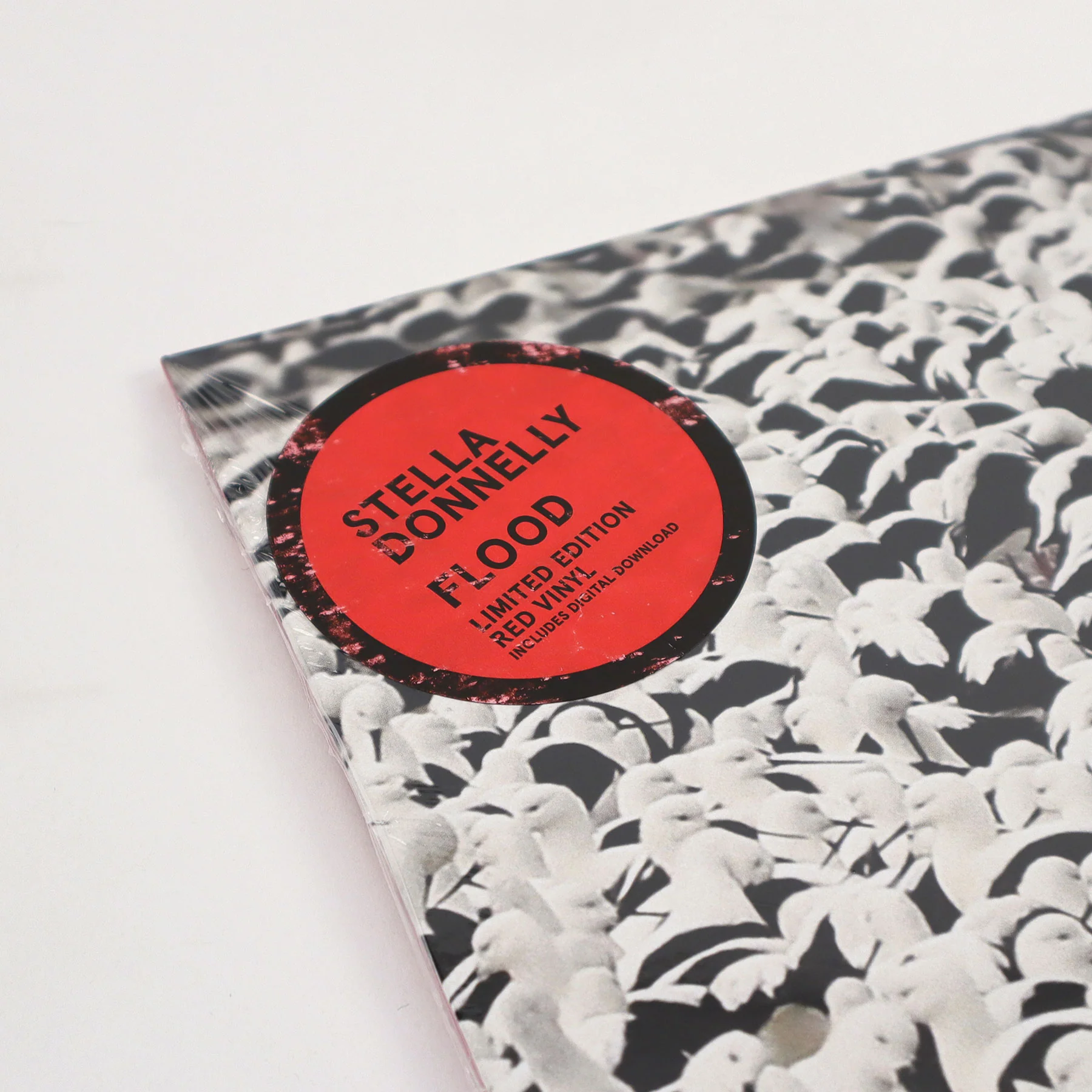 Stella Donnelly: Flood (Colored Vinyl) Vinyl LP - Image 4