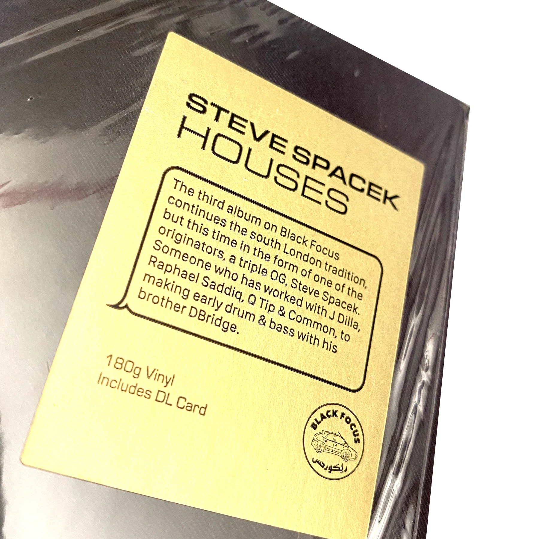 Steve Spacek: Houses (180g) Vinyl LP - Image 4