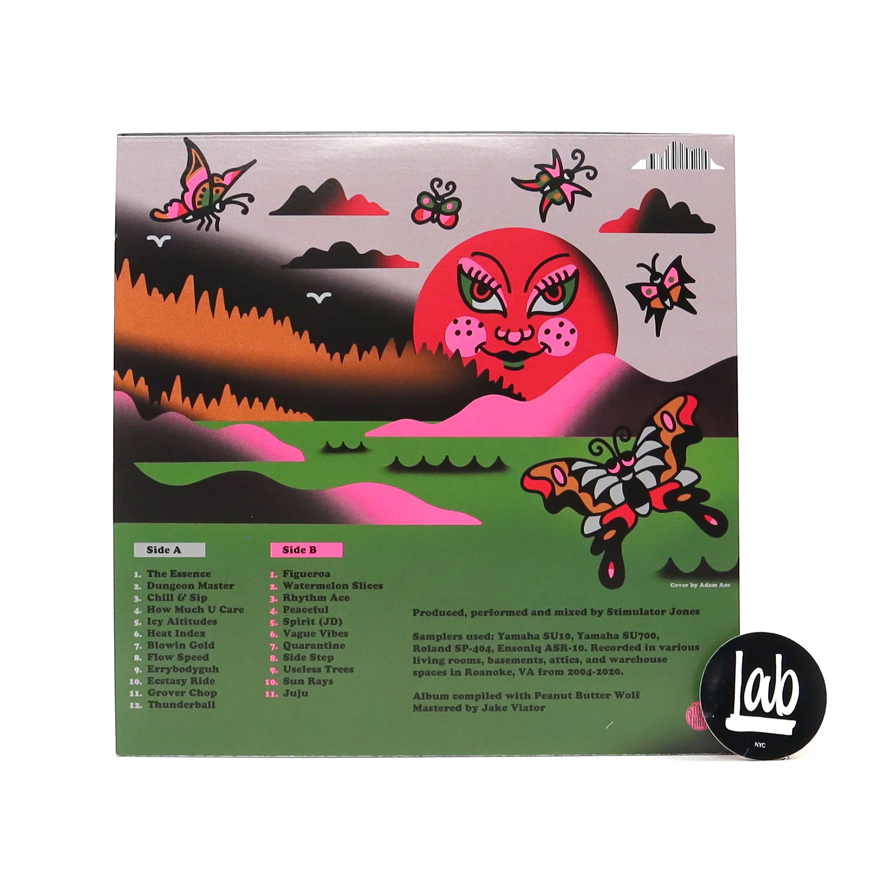Stimulator Jones: Low Budget Environments Striving For Perfection Vinyl LP - Image 2