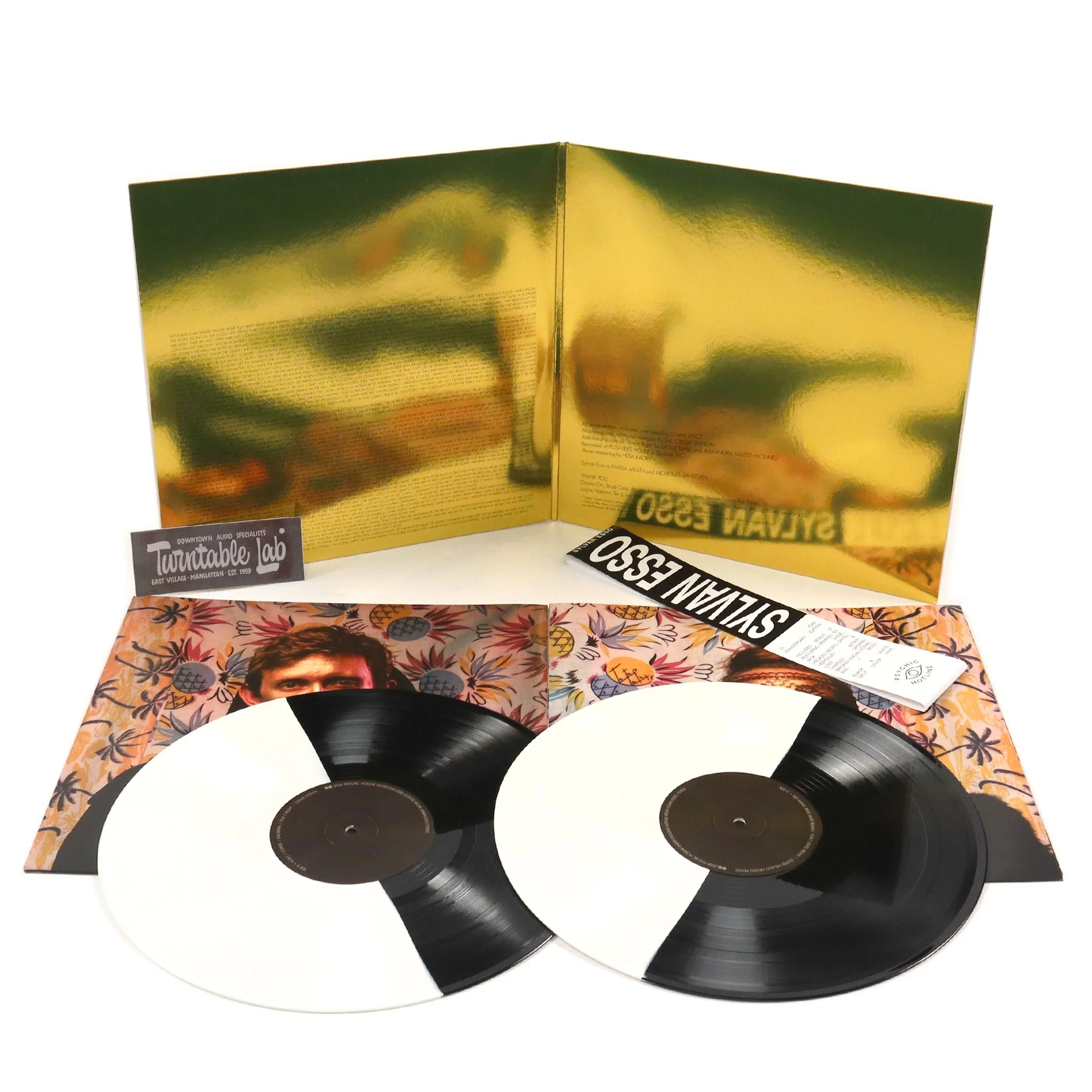 Sylvan Esso: Sylvan Esso - 10th Anniversary Edition (Colored Vinyl) Vinyl 2LP - Image 2