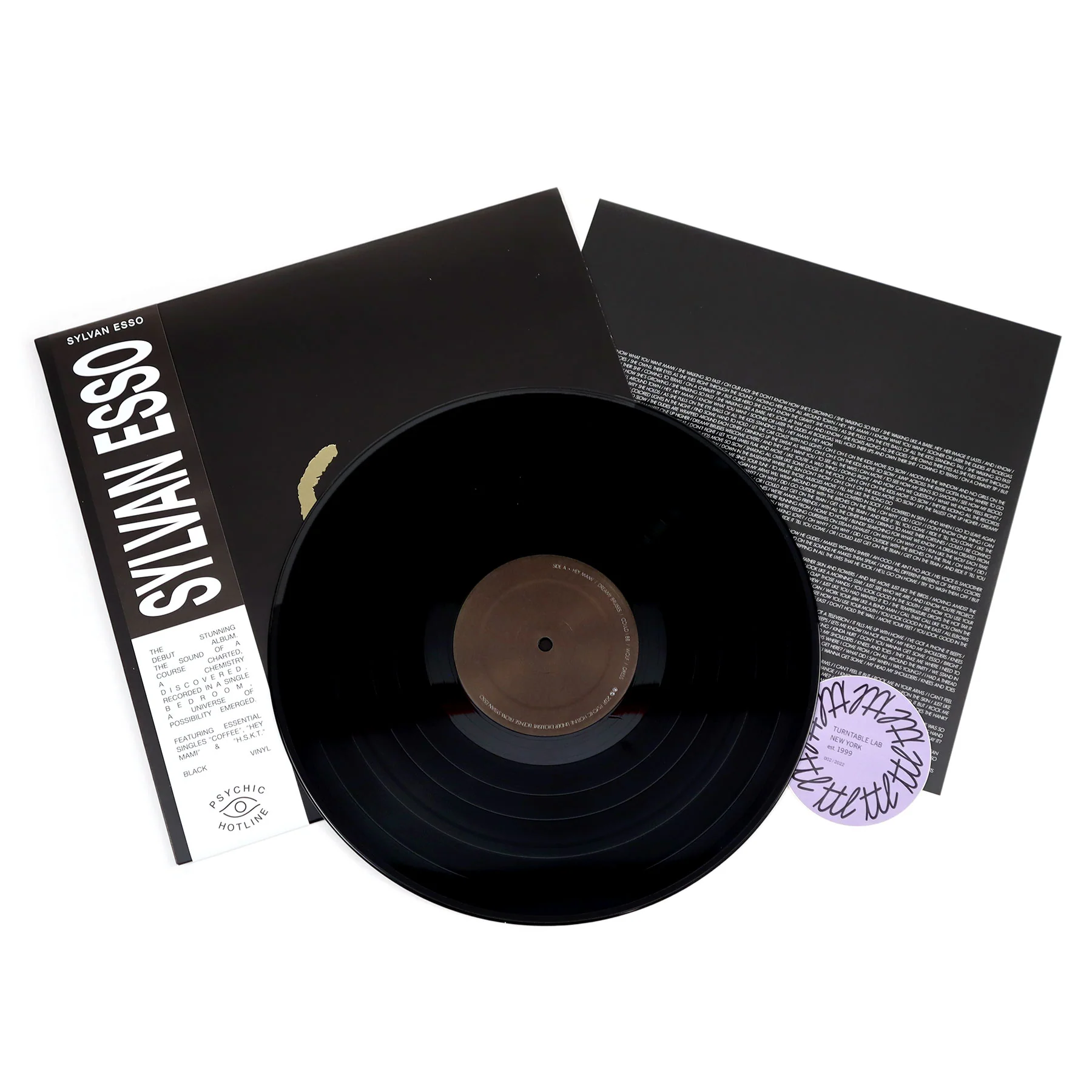 Sylvan Esso: Sylvan Esso Vinyl LP - Image 2