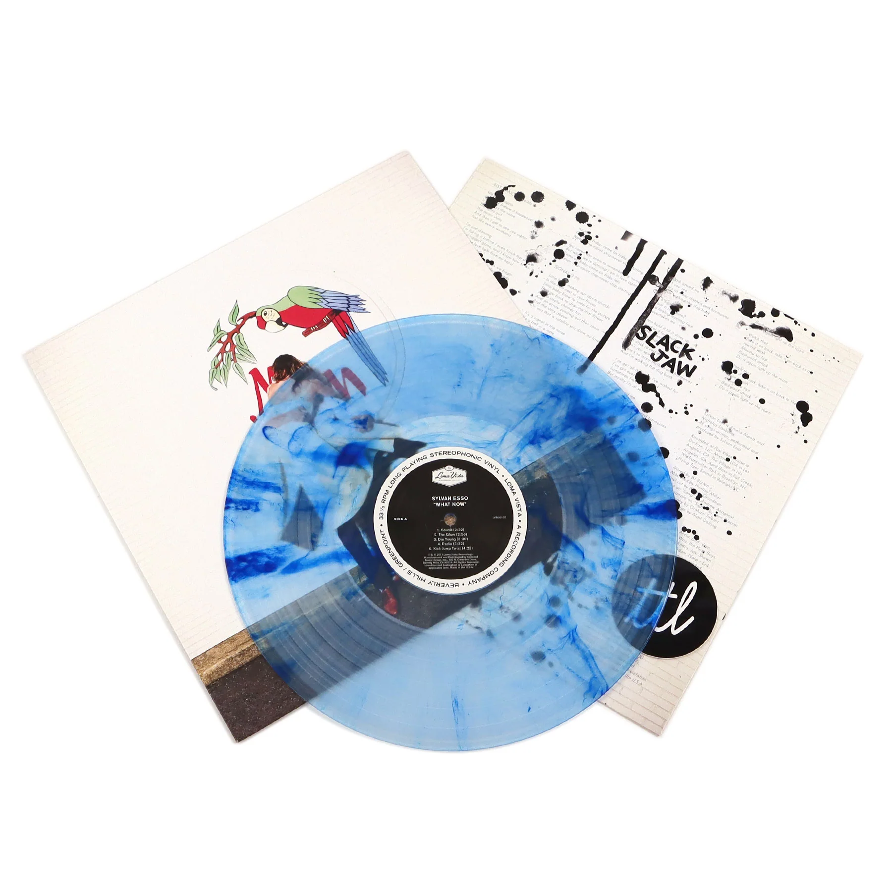 Sylvan Esso: What Now (Blue Smoke Colored Vinyl) Vinyl LP - Image 2