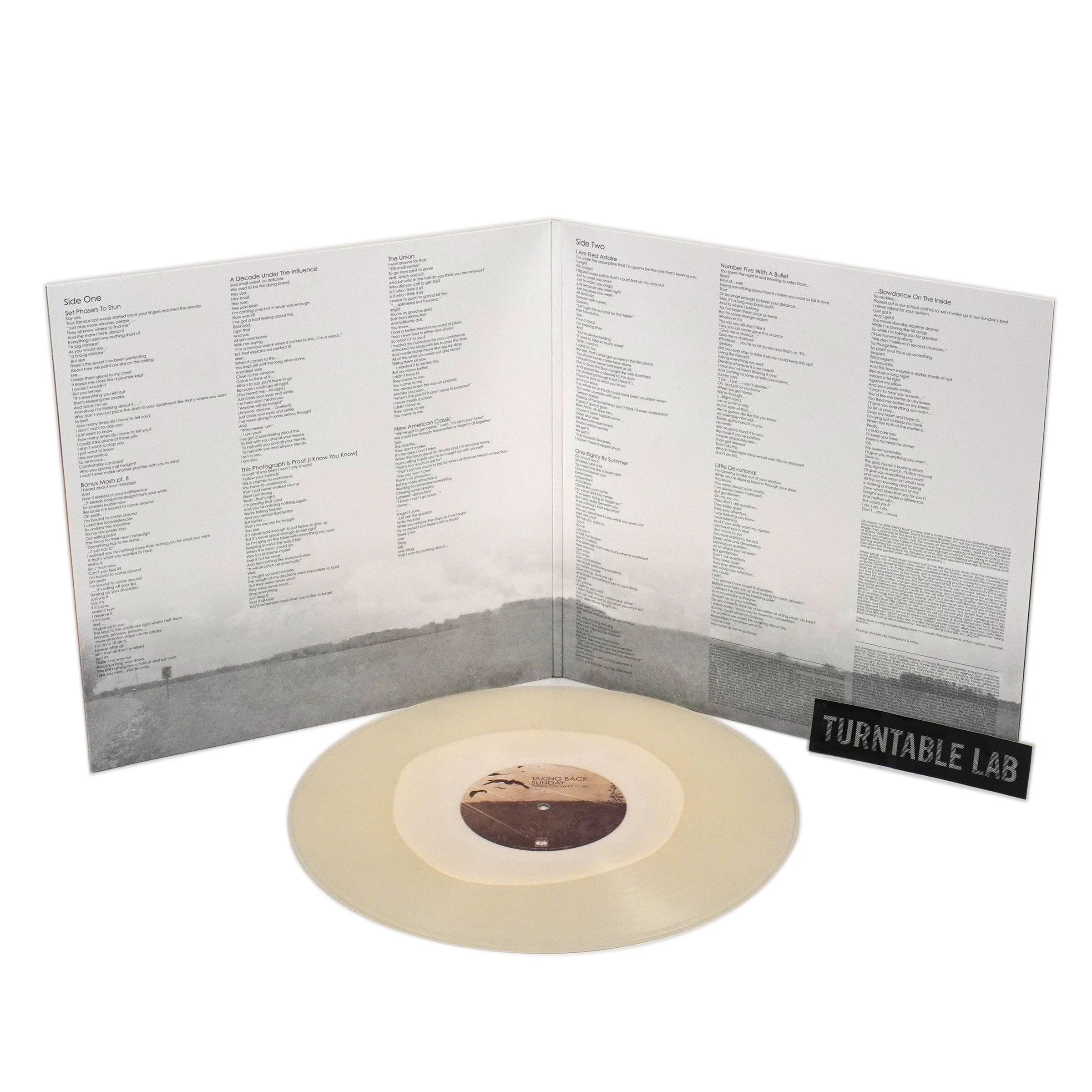Taking Back Sunday: Where You Want To Be (Colored Vinyl) Vinyl LP - Image 2