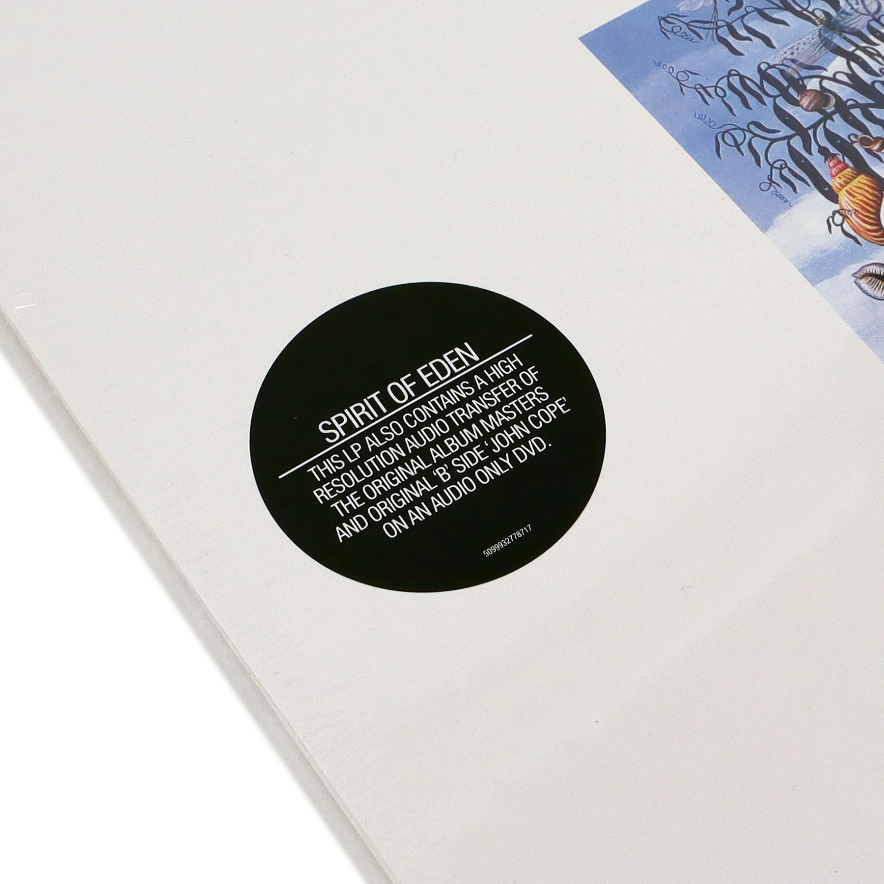 Talk Talk: Spirit Of Eden (180g, Import) Vinyl LP+DVD - Image 4