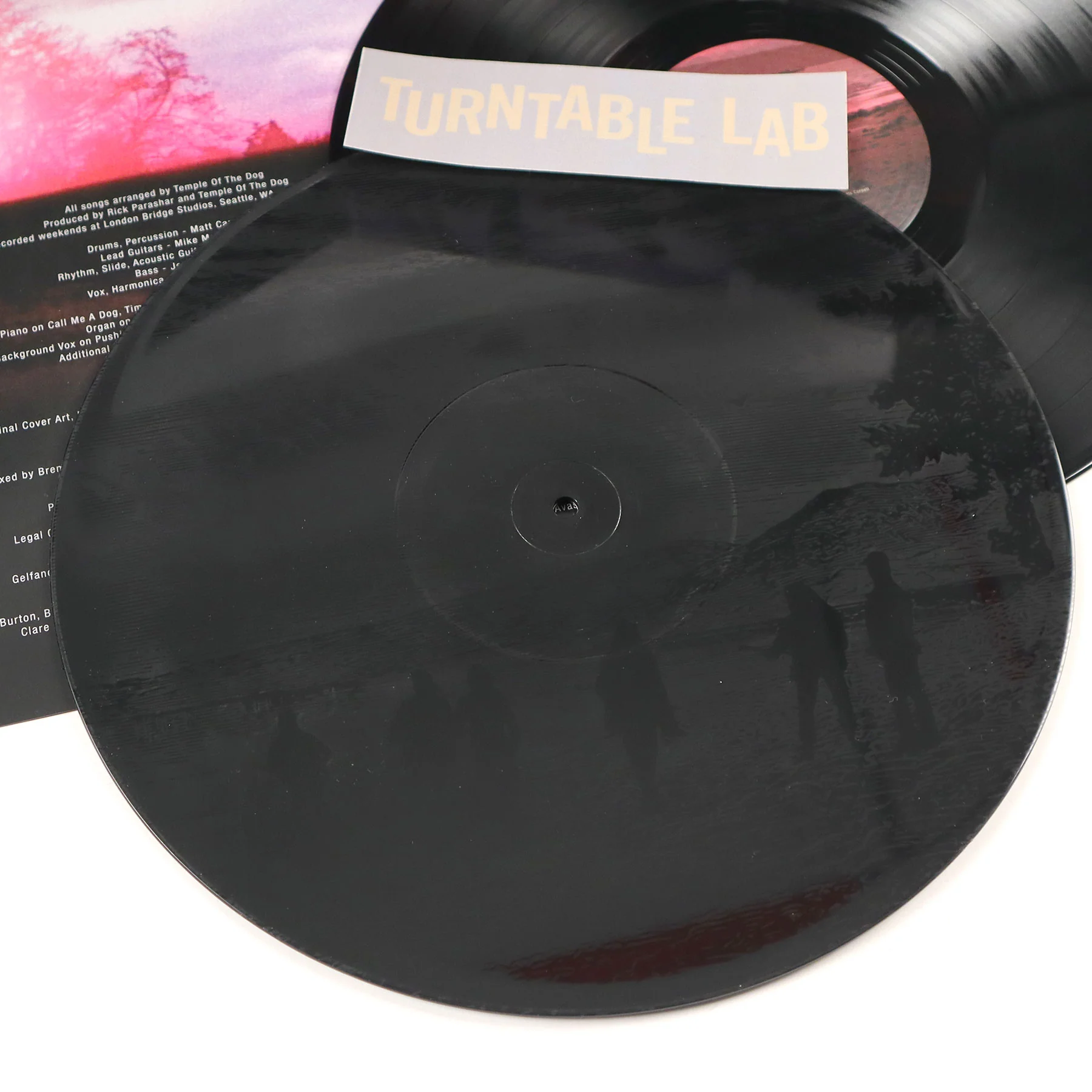 Temple Of The Dog: Temple Of The Dog (180g) Vinyl 2LP - Image 2