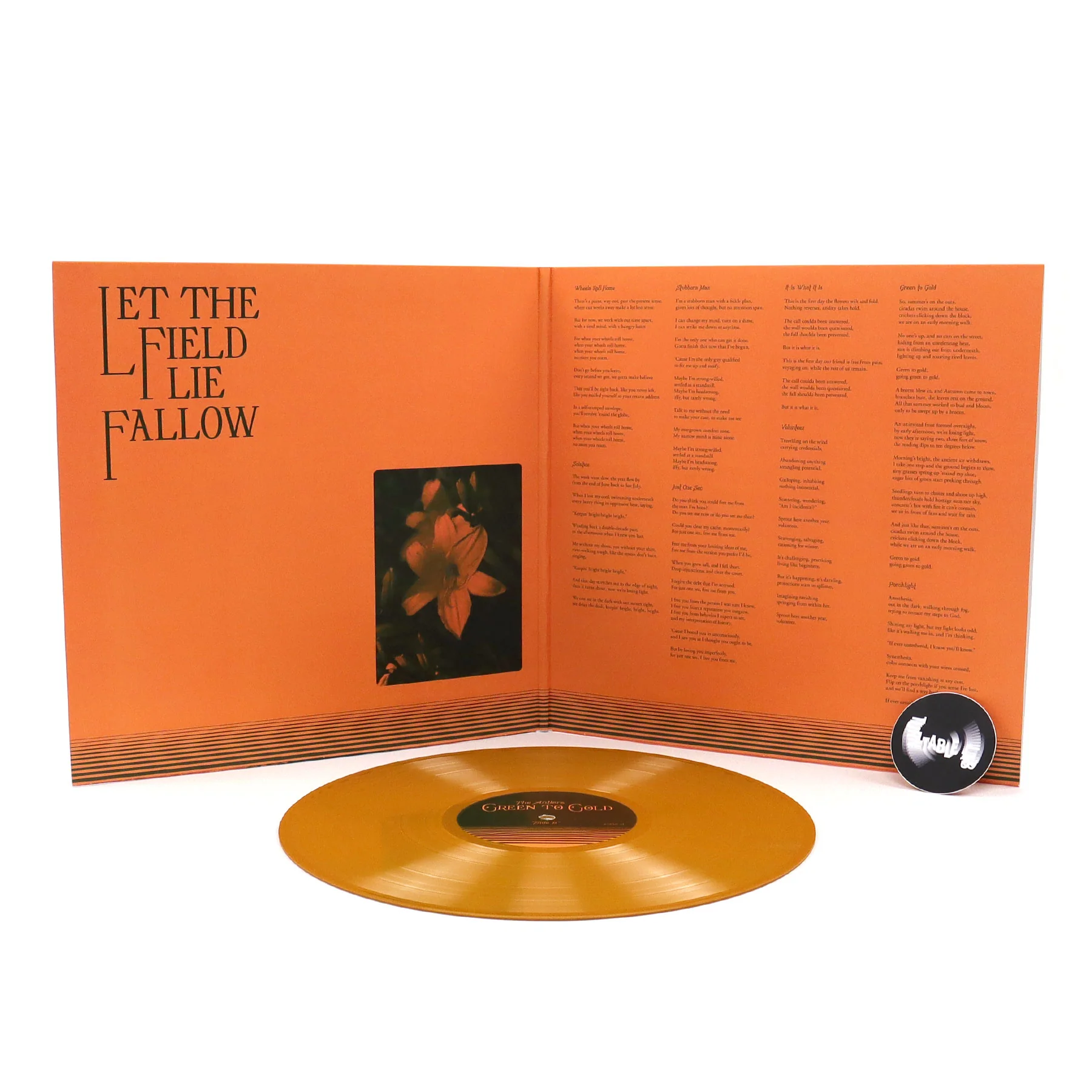 The Antlers: Green To Gold (Indie Exclusive Colored Vinyl) Vinyl LP - Image 2