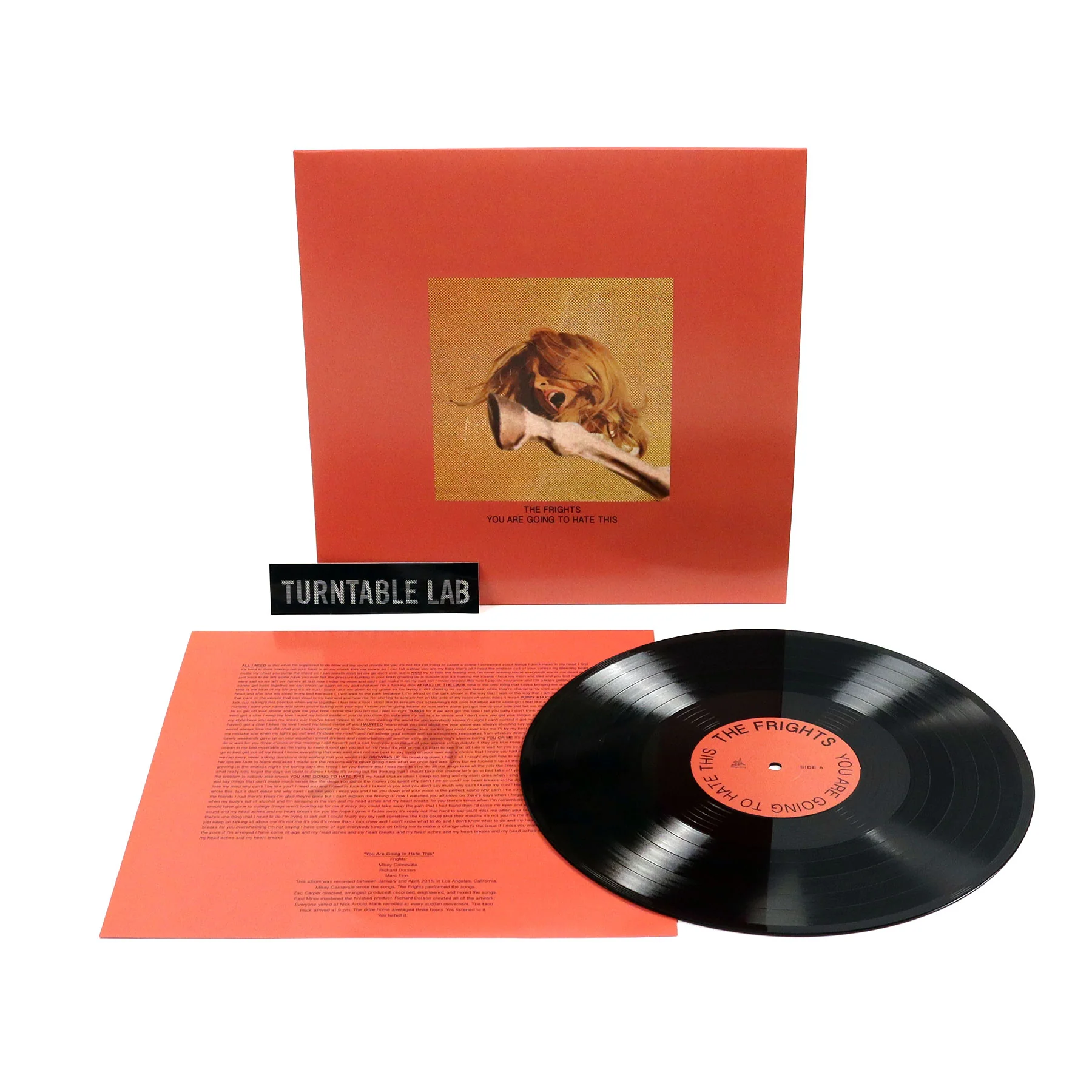 The Frights: You Are Going to Hate This Vinyl LP - Image 2