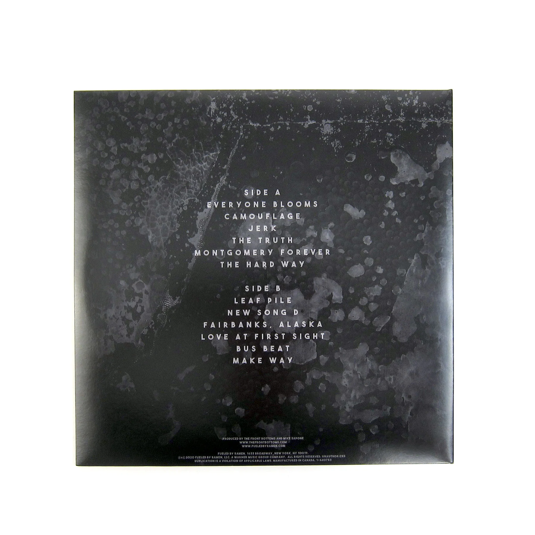 The Front Bottoms: In Sickness & In Flames (Indie Exclusive Colored Vinyl) Vinyl LP - Image 3