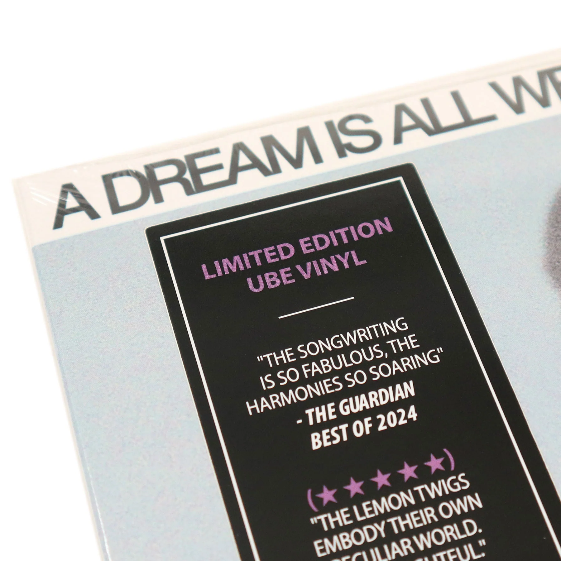 The Lemon Twigs: A Dream Is All We Know (Purple Colored Vinyl) Vinyl LP - Image 5