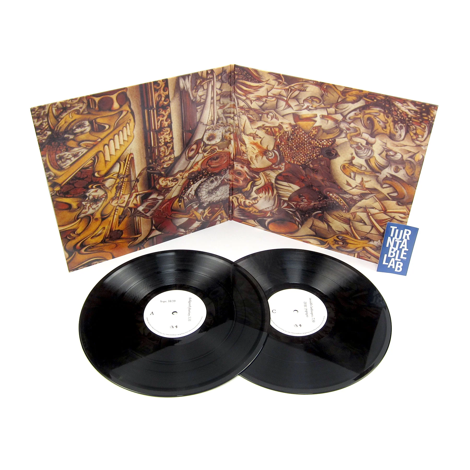The Primitive Painter: The Primitive Painter Vinyl 2LP - Image 2