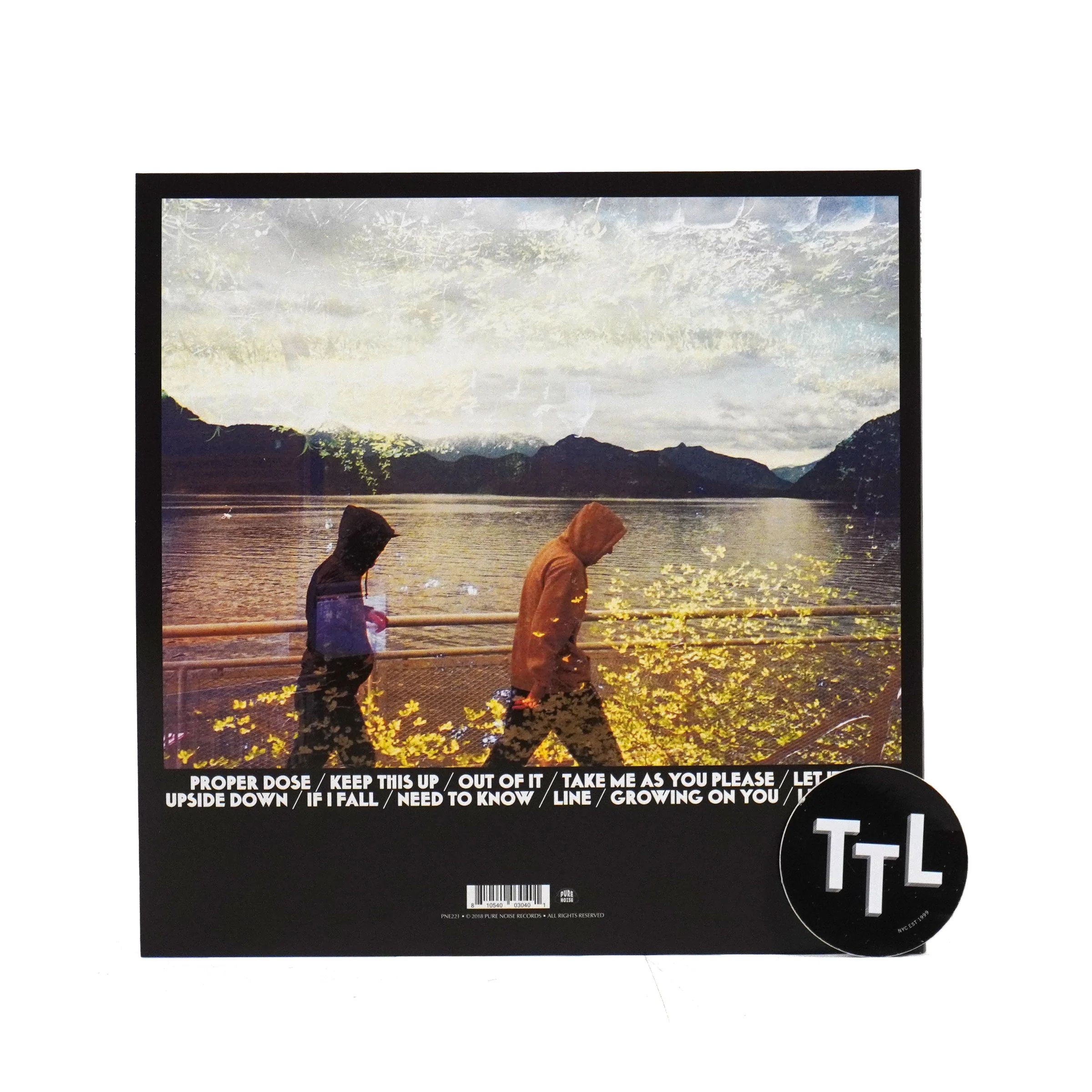 The Story So Far: Proper Dose (Marble Colored Vinyl) Vinyl LP - Image 3