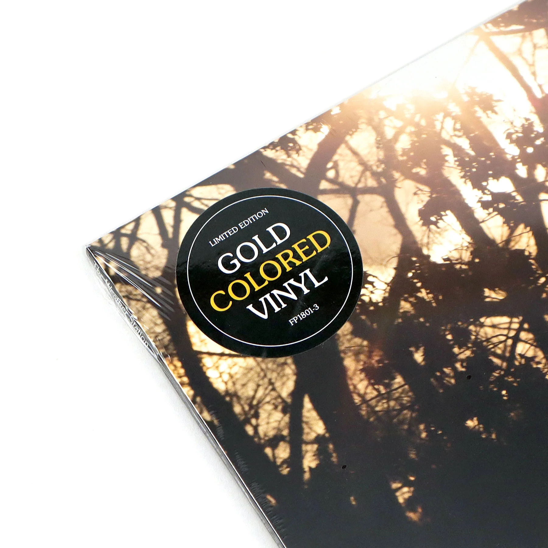 The Weather Station: How Is It That I Should Look At The Stars (Indie Exclusive Colored Vinyl) Vinyl LP - Image 4