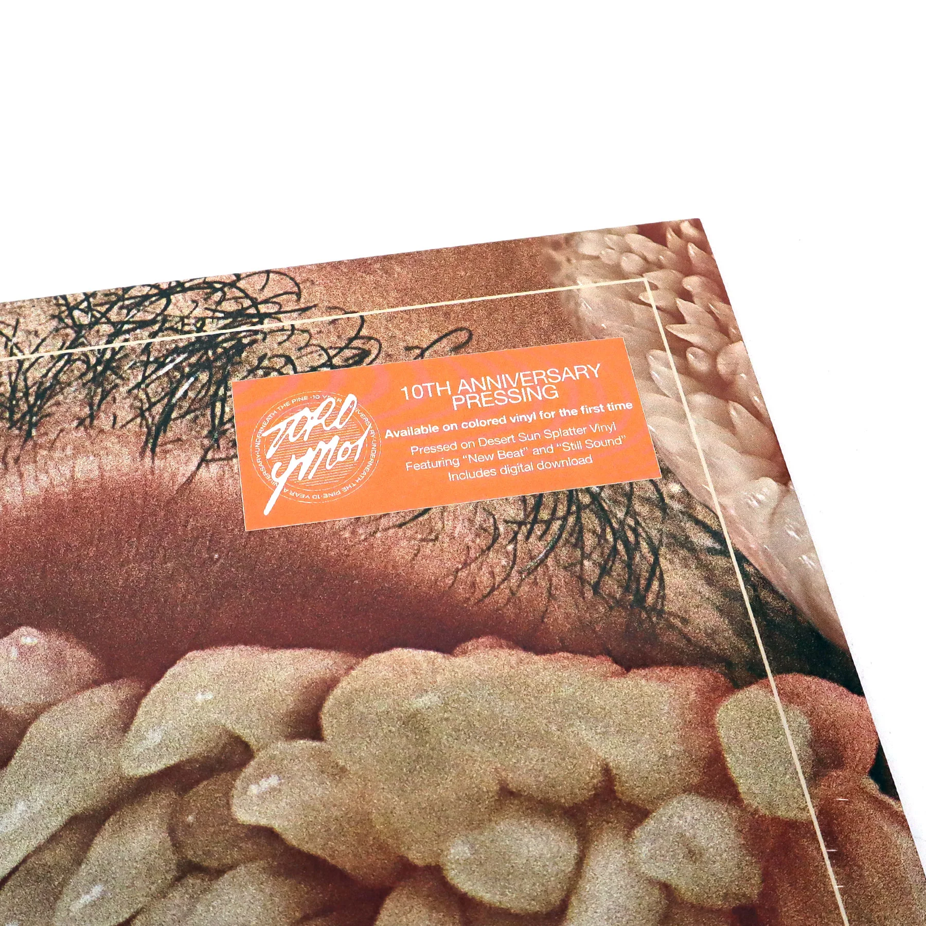 Toro Y Moi: Underneath The Pine (Colored Vinyl) Vinyl LP - Image 4