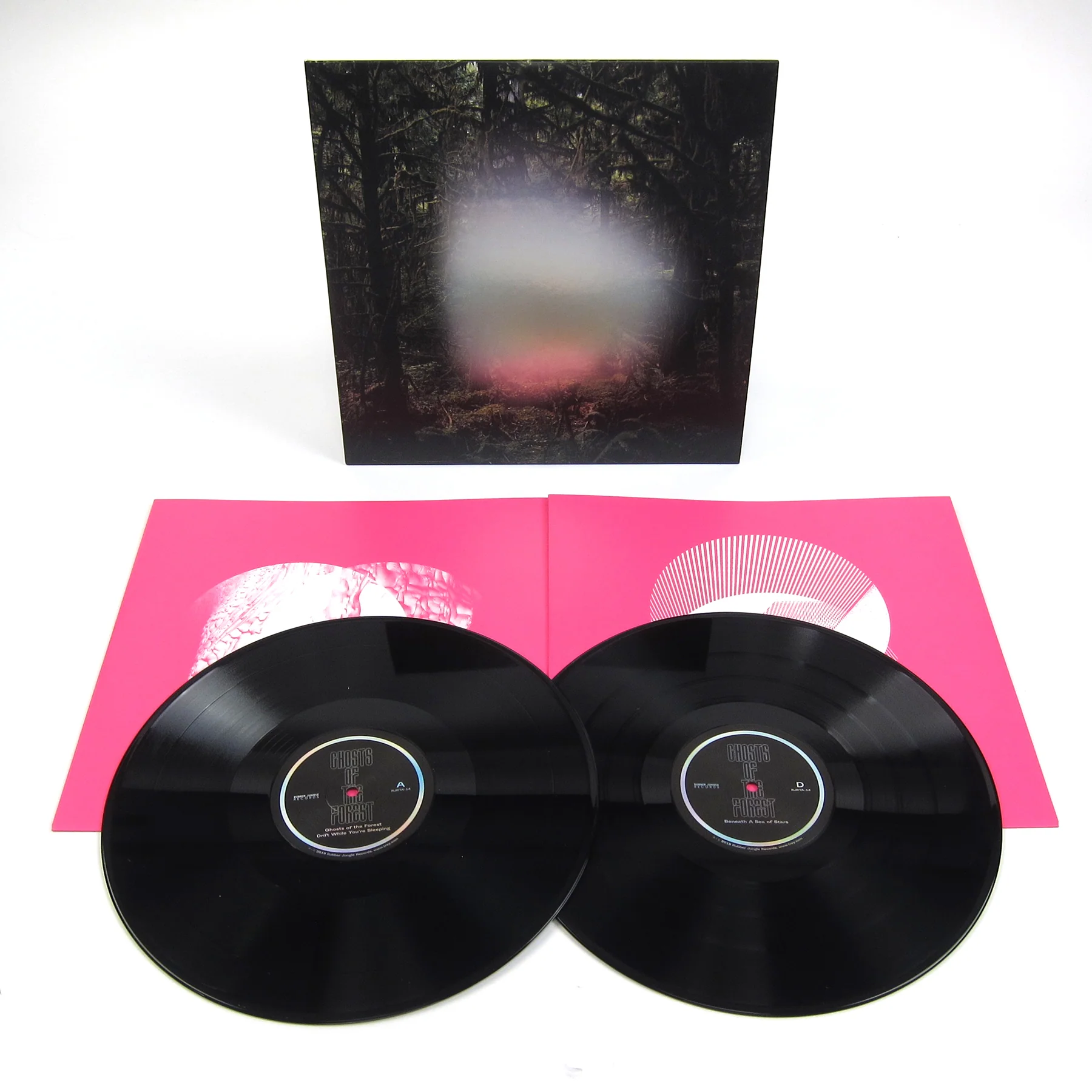 Trey Anastasio: Ghosts Of The Forest (Phish, 180g) Vinyl LP - Image 2