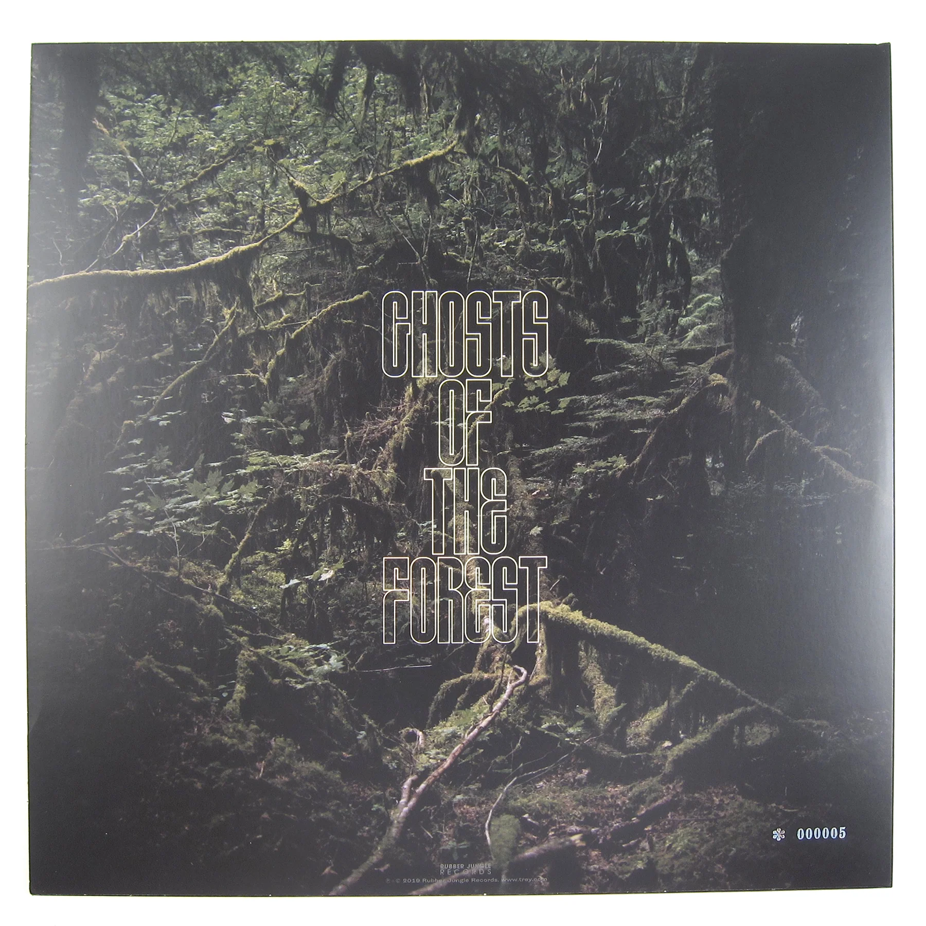 Trey Anastasio: Ghosts Of The Forest (Phish, 180g) Vinyl LP - Image 3