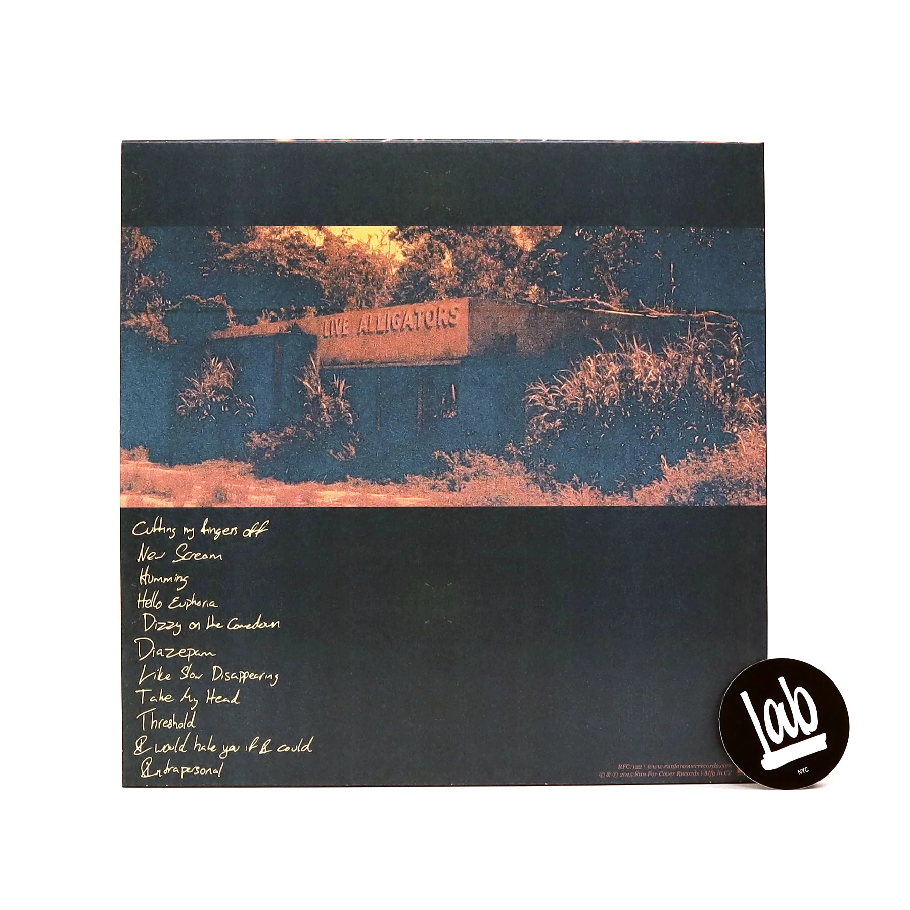 Turnover: Peripheral Vision (Colored Vinyl) Vinyl LP - Image 3