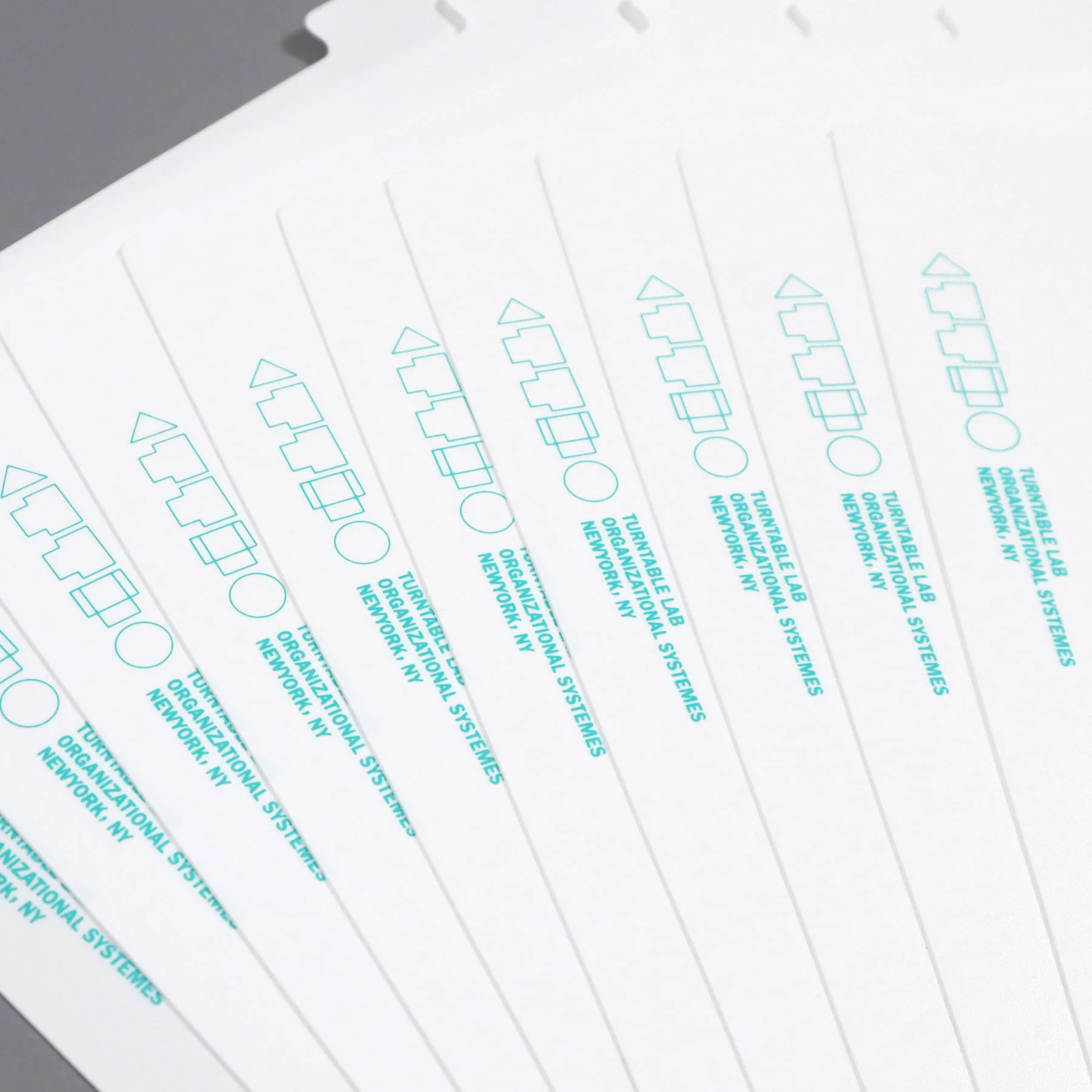 Turntable Lab: Record Store LP Dividers for Vinyl Records - Image 3
