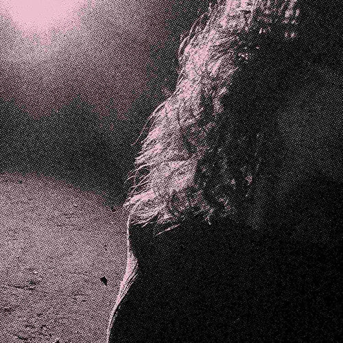 Venturing: Ghostholding (Orchid Colored Vinyl) Vinyl 2LP - PRE-ORDER - Image 3