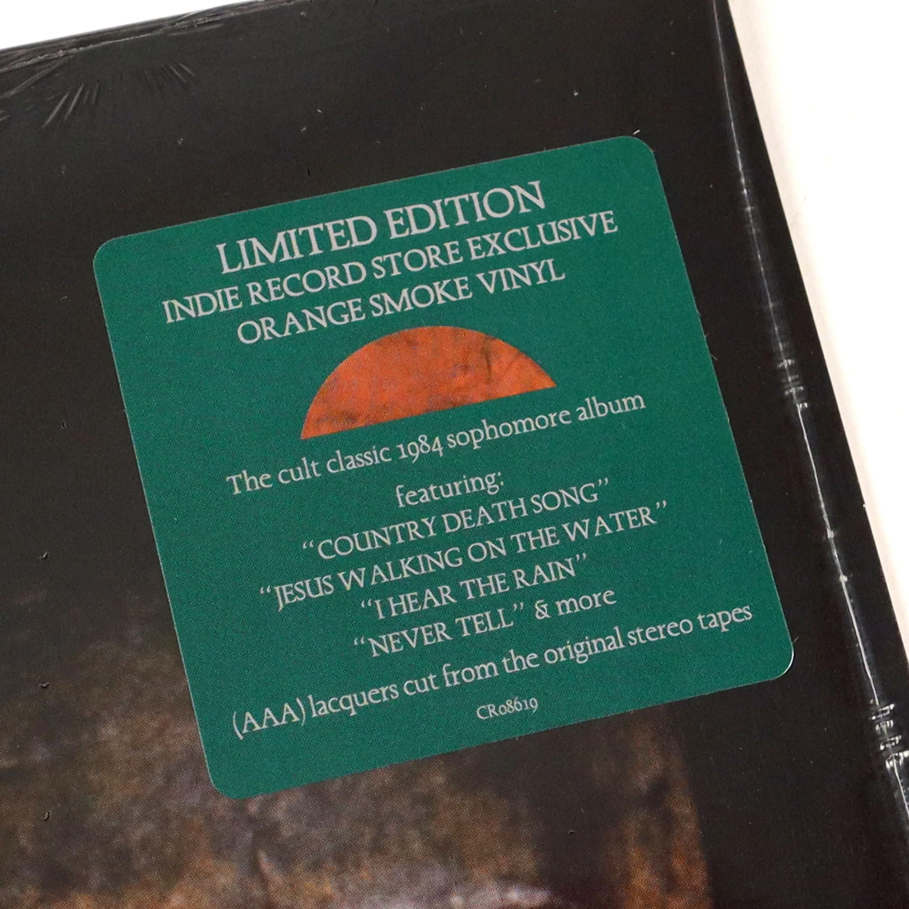 Violent Femmes: Hallowed Ground (Indie Exclusive Colored Vinyl) Vinyl LP - Image 4