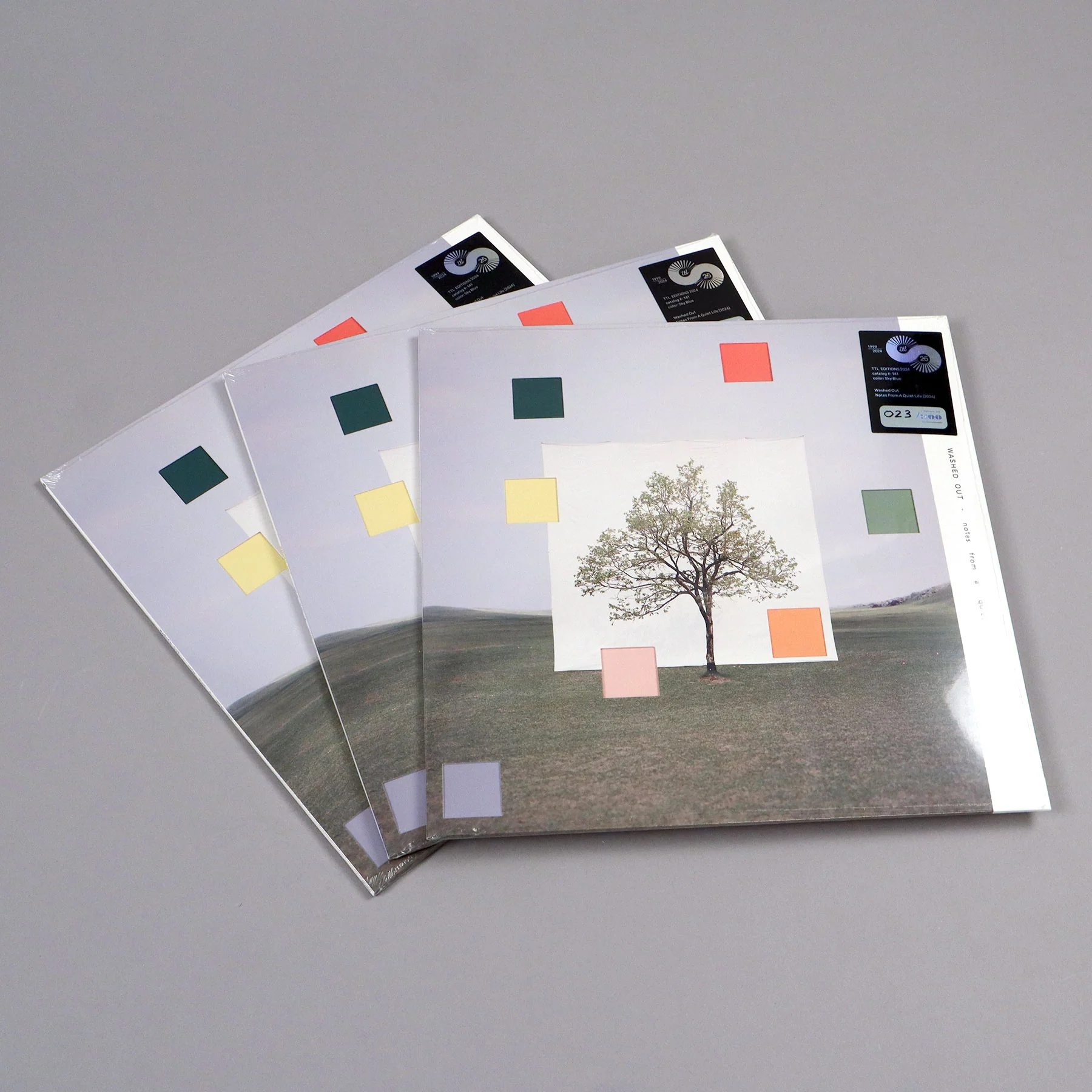 Washed Out: Notes From A Quiet Life (Colored Vinyl) Vinyl LP - Turntable Lab Exclusive - Image 6