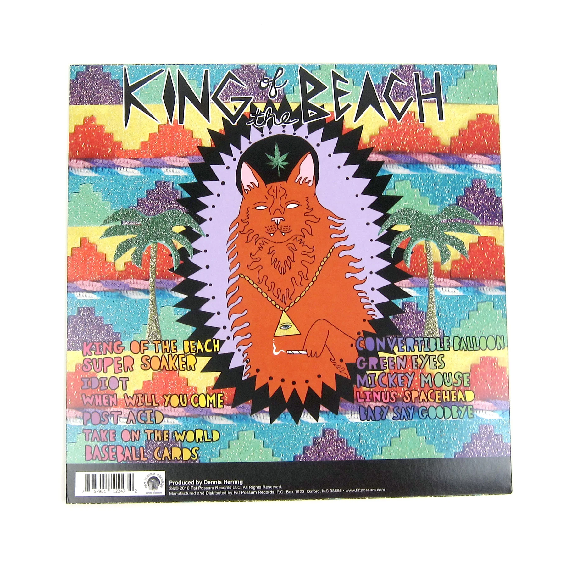 Wavves: King Of The Beach 10th Anniversary Edition (Colored Vinyl) Vinyl LP+7" - Image 3