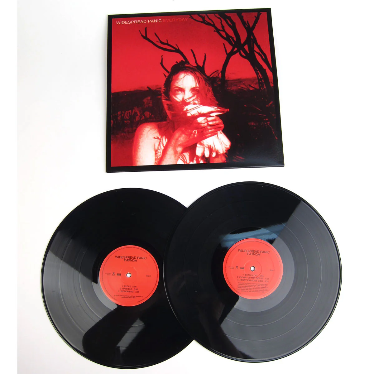 Widespread Panic: Everyday Vinyl LP - Image 2