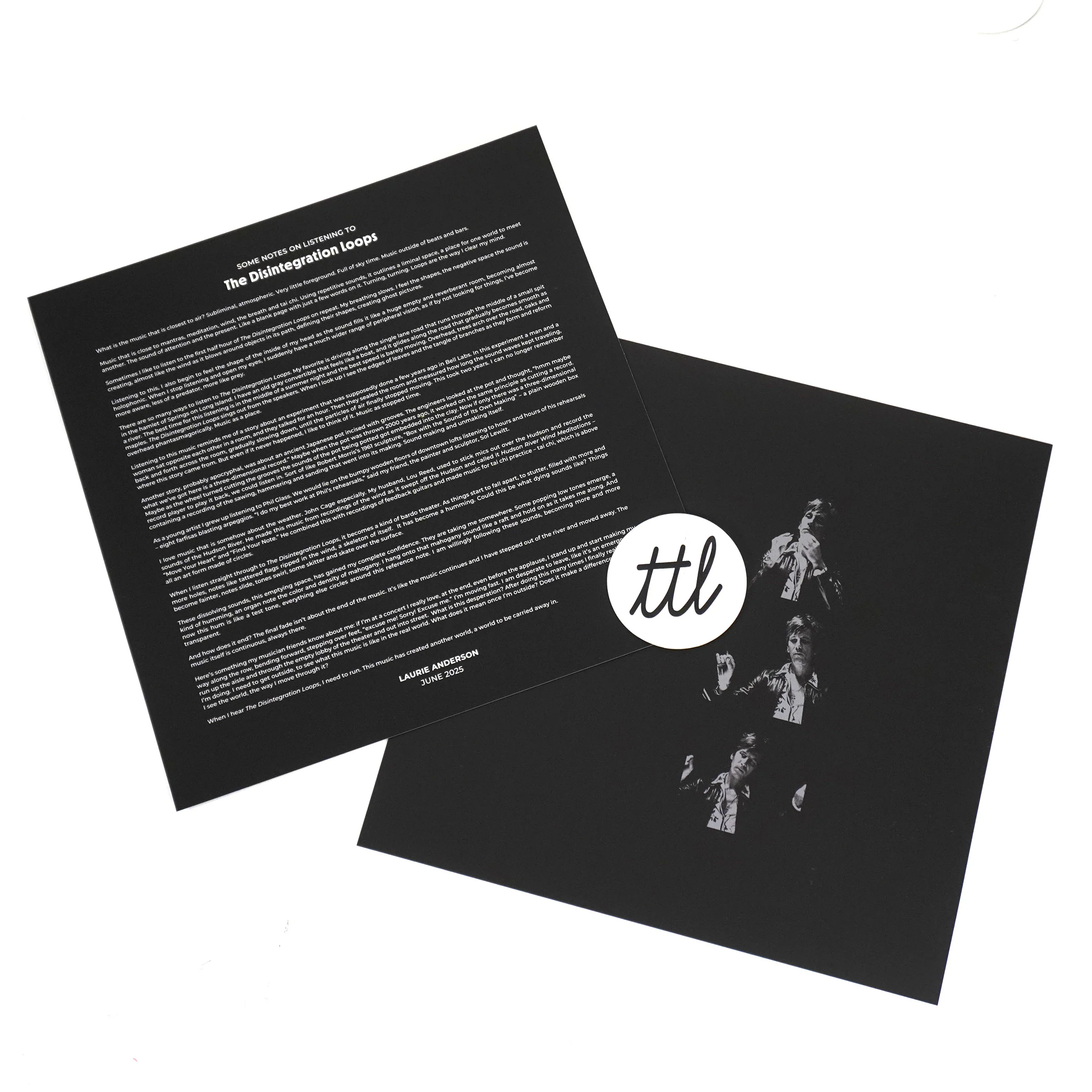 William Basinski: The Disintegration Loops - Arcadia Archive Edition Vinyl 8LP Boxset - Image 2