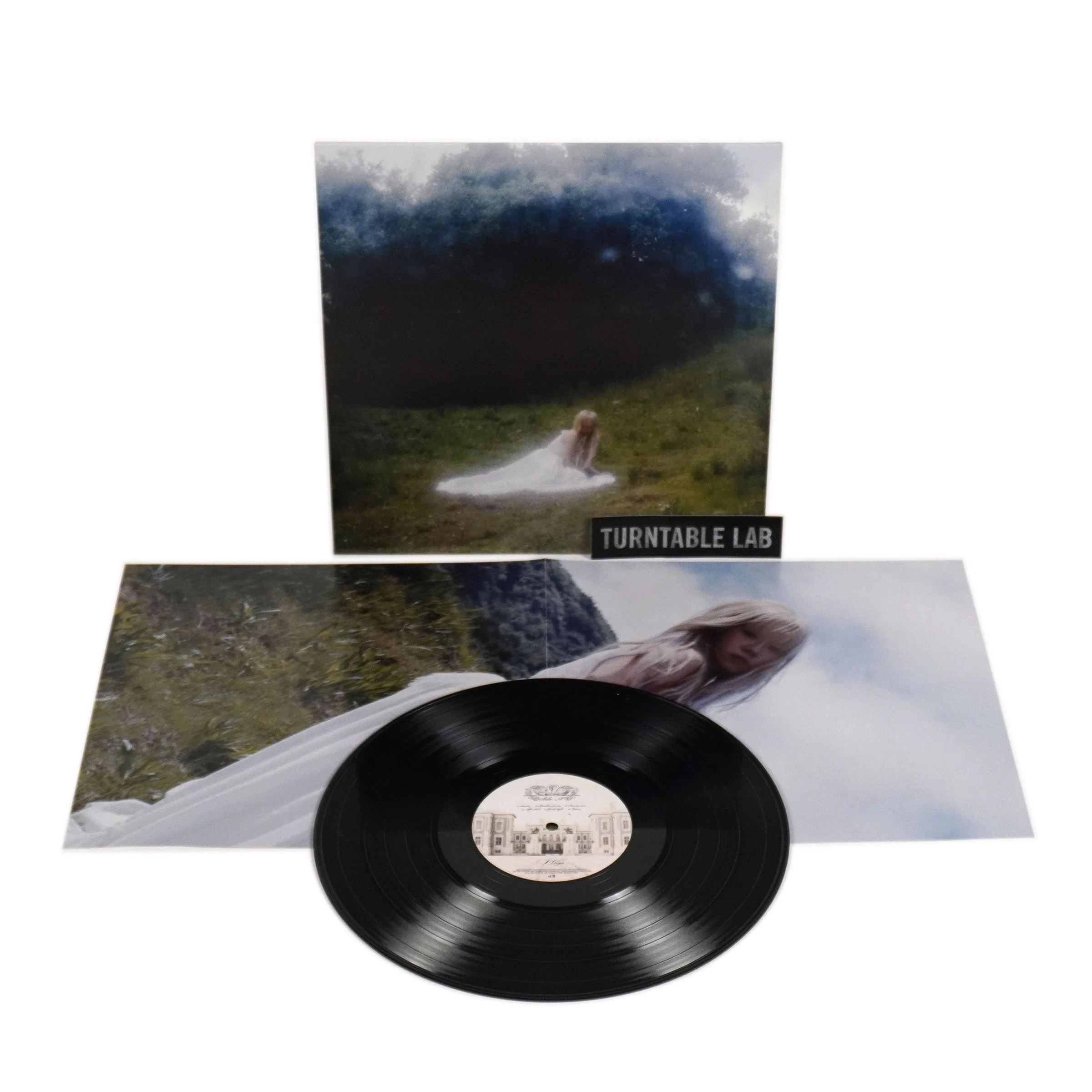 Wisp: If Not Winter Vinyl LP - Image 2