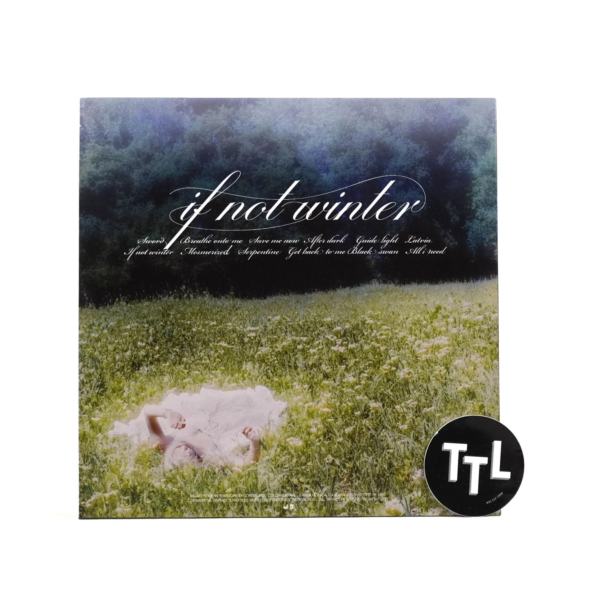 Wisp: If Not Winter Vinyl LP - Image 3