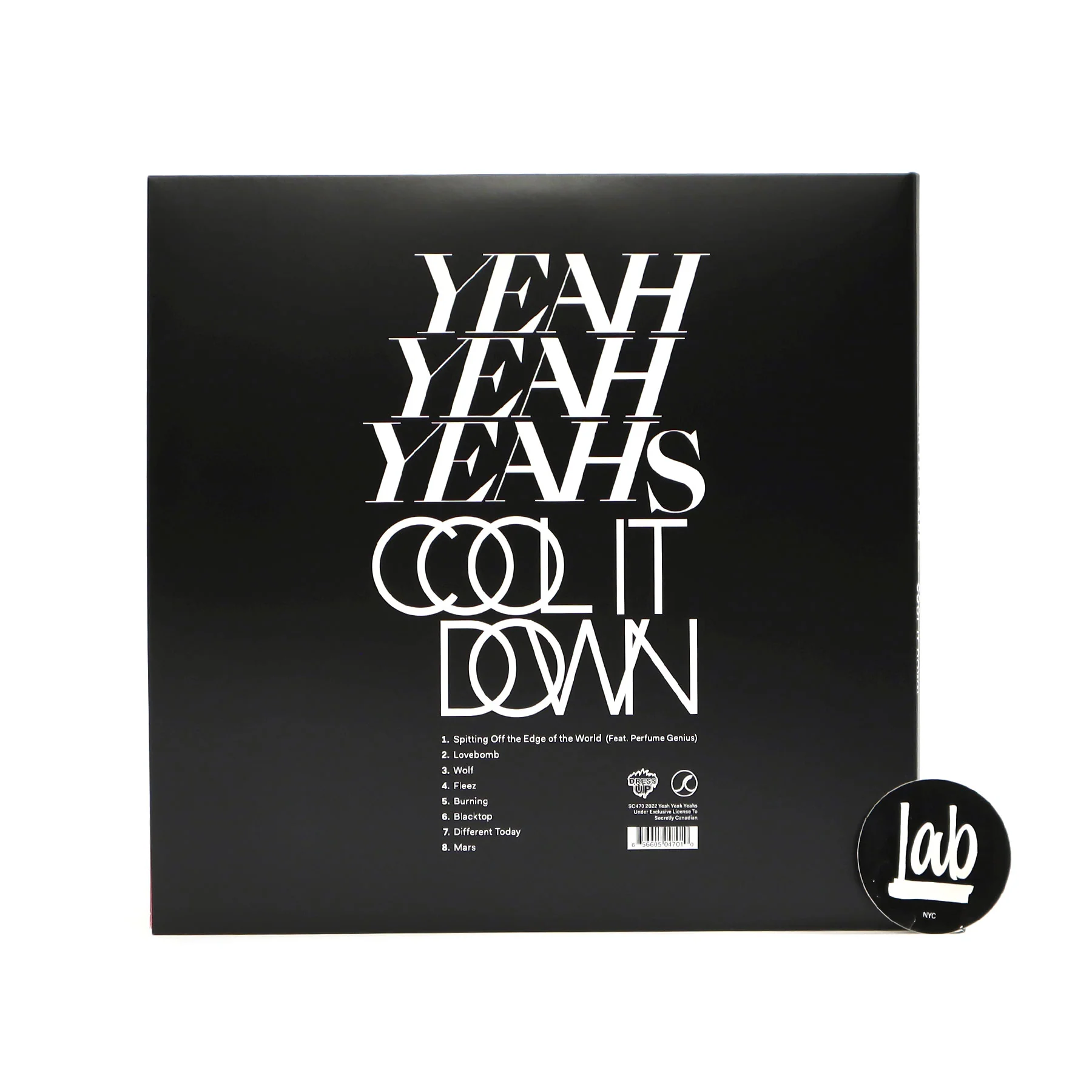 Yeah Yeah Yeahs: Cool It Down (Colored Vinyl) Vinyl LP - Image 3