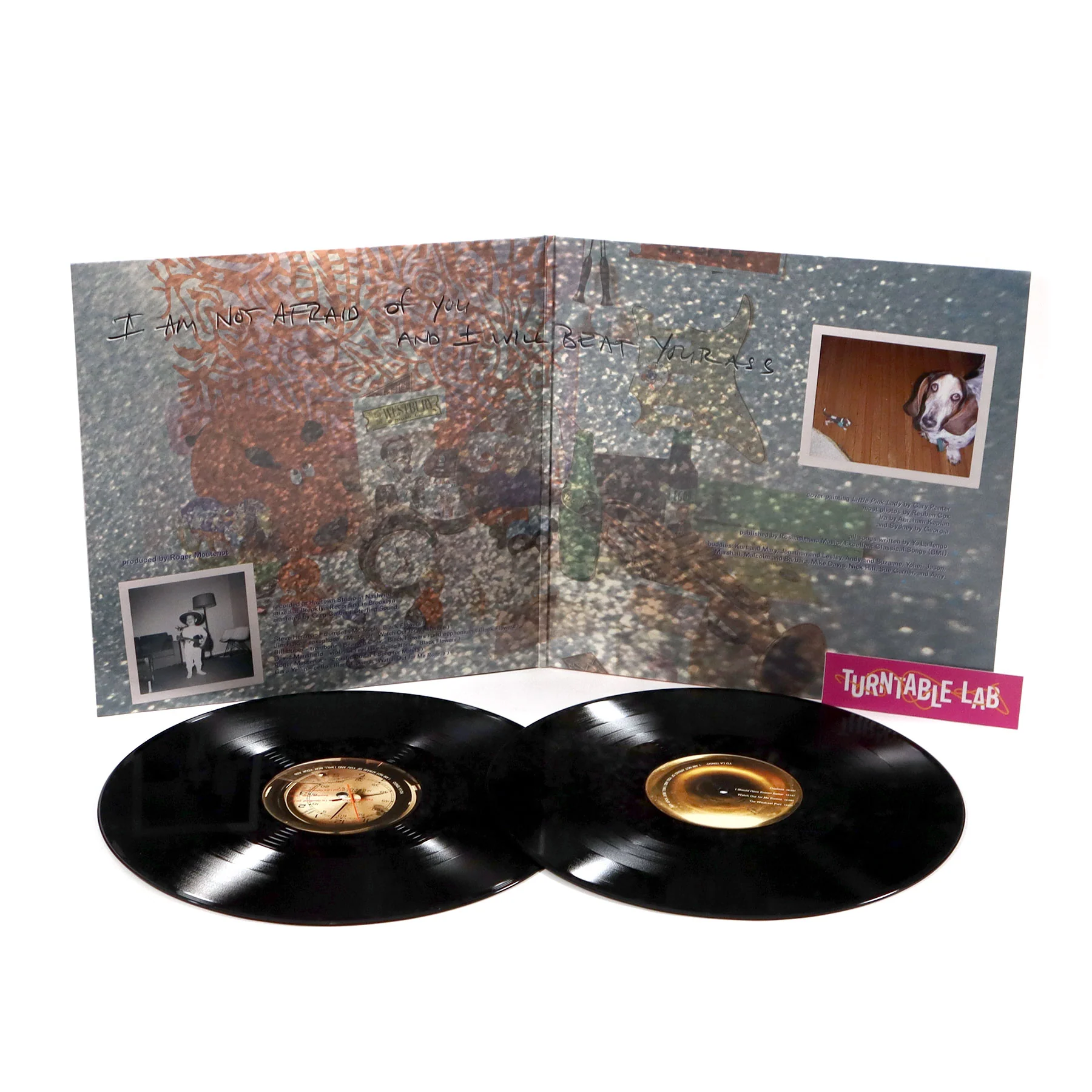 Yo La Tengo: I Am Not Afraid Of You And I Will Beat Your Ass Vinyl LP - Image 2
