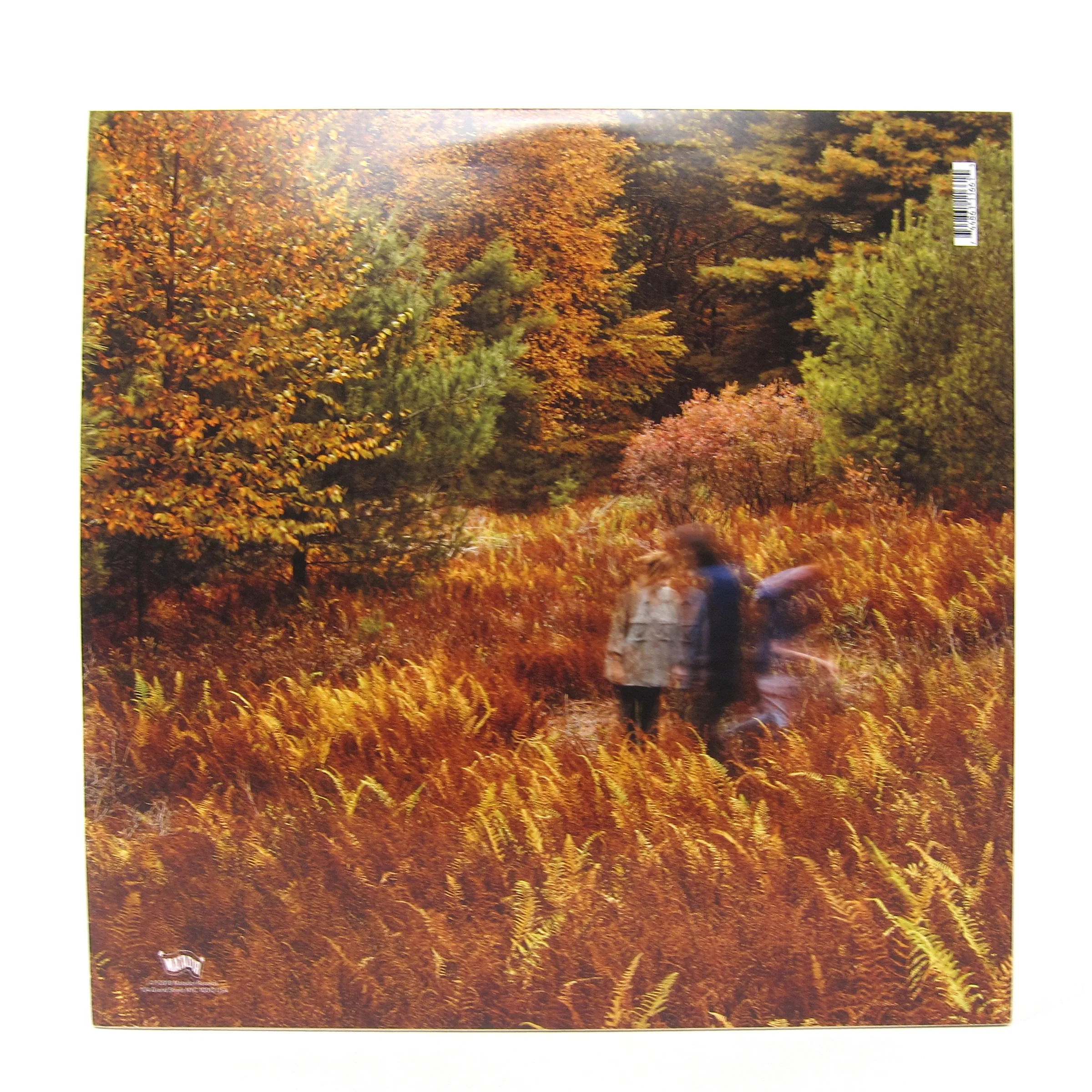 Yo La Tengo: There's A Riot Going On (Indie Exclusive Colored Vinyl) Vinyl 2LP - Image 3